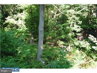 5 Ravine Road Ewing, NJ 08628 - Photo 11 of 12