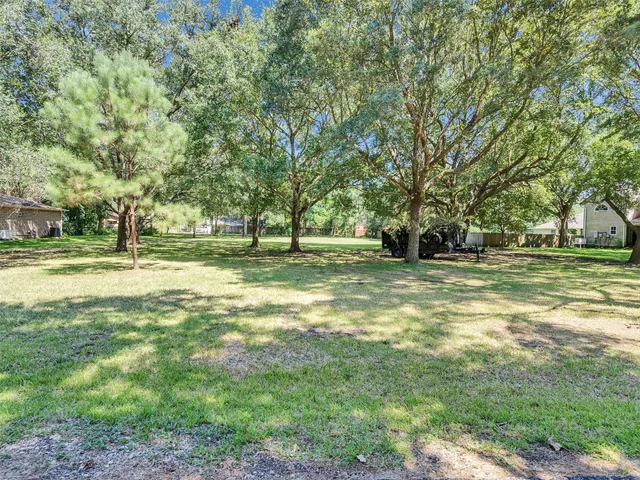 a view of a park with large trees