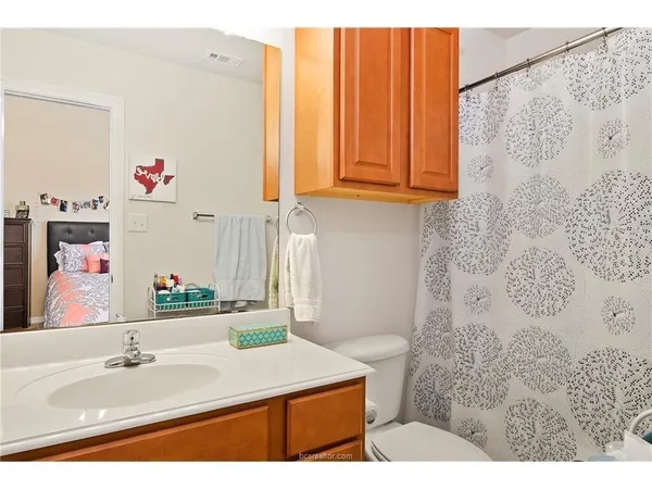a bathroom with a sink vanity and a mirror