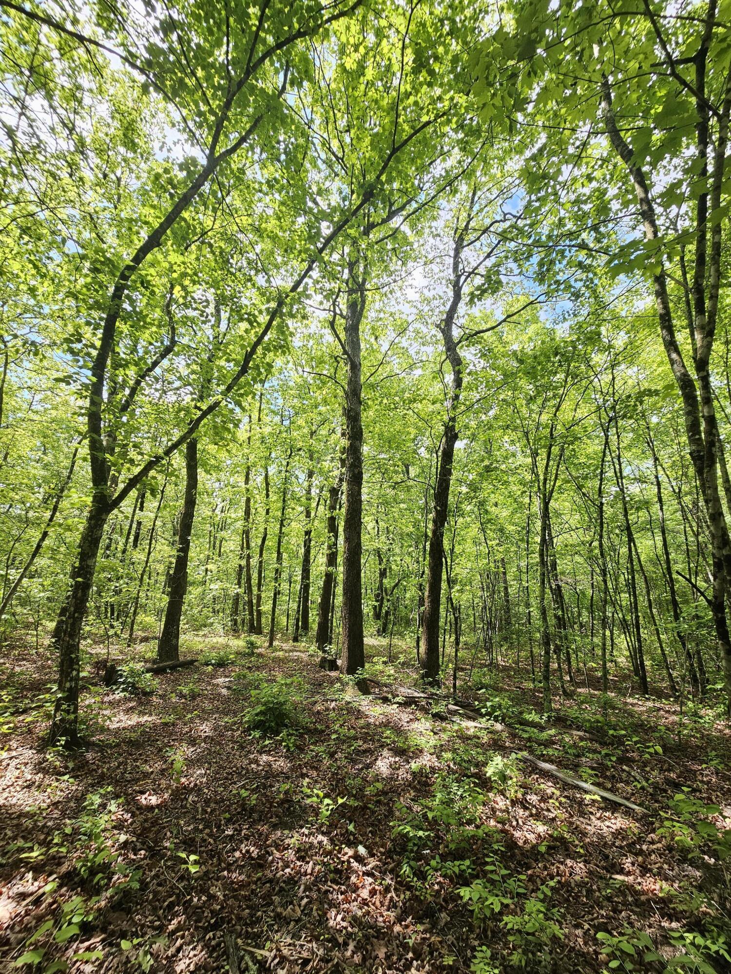 488 Hunters Trail Way, Unit 102 Altamont, TN 37301 - Photo 12 of 38 1000023466