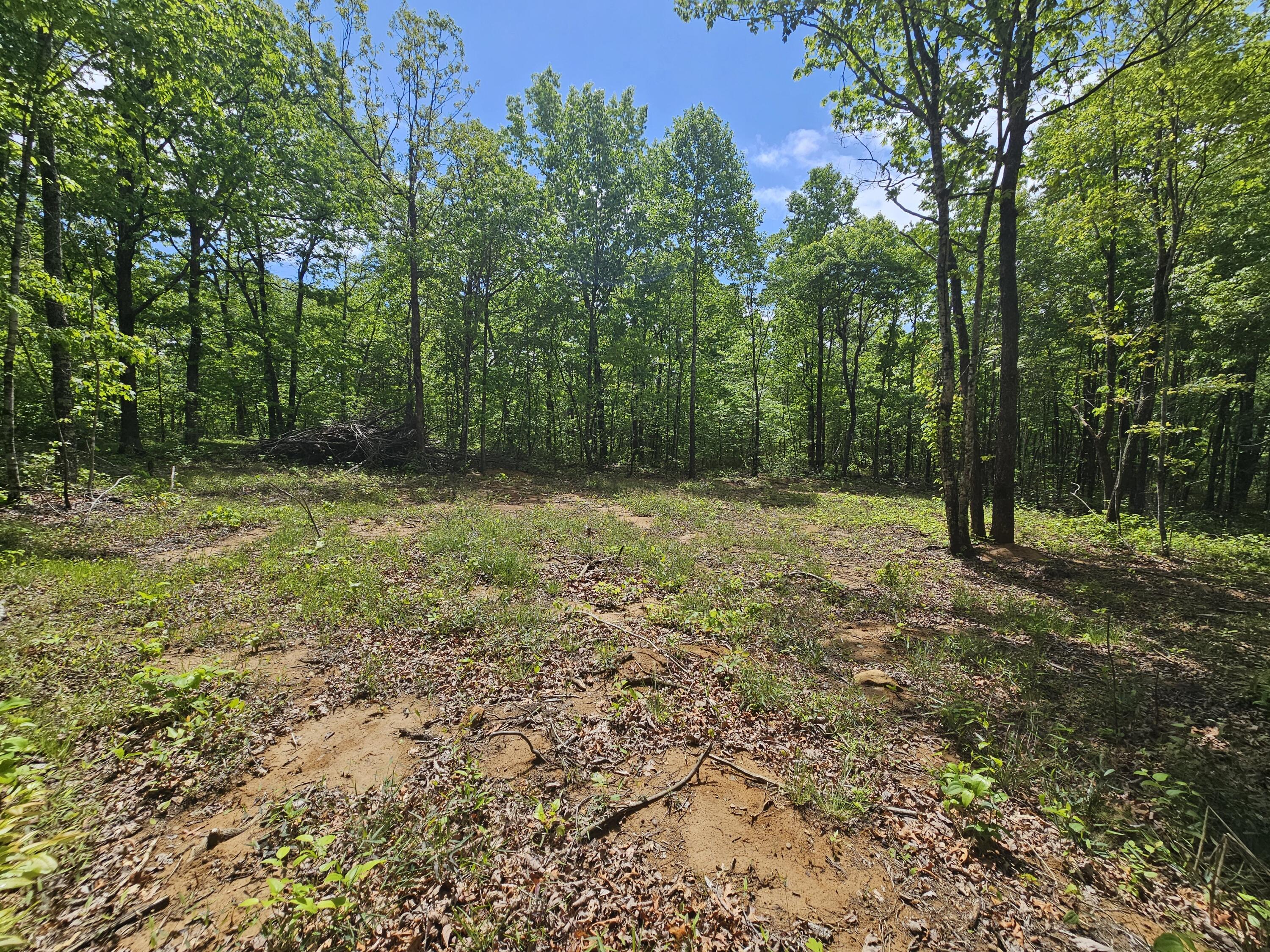 488 Hunters Trail Way, Unit 102 Altamont, TN 37301 - Photo 13 of 38 1000023465