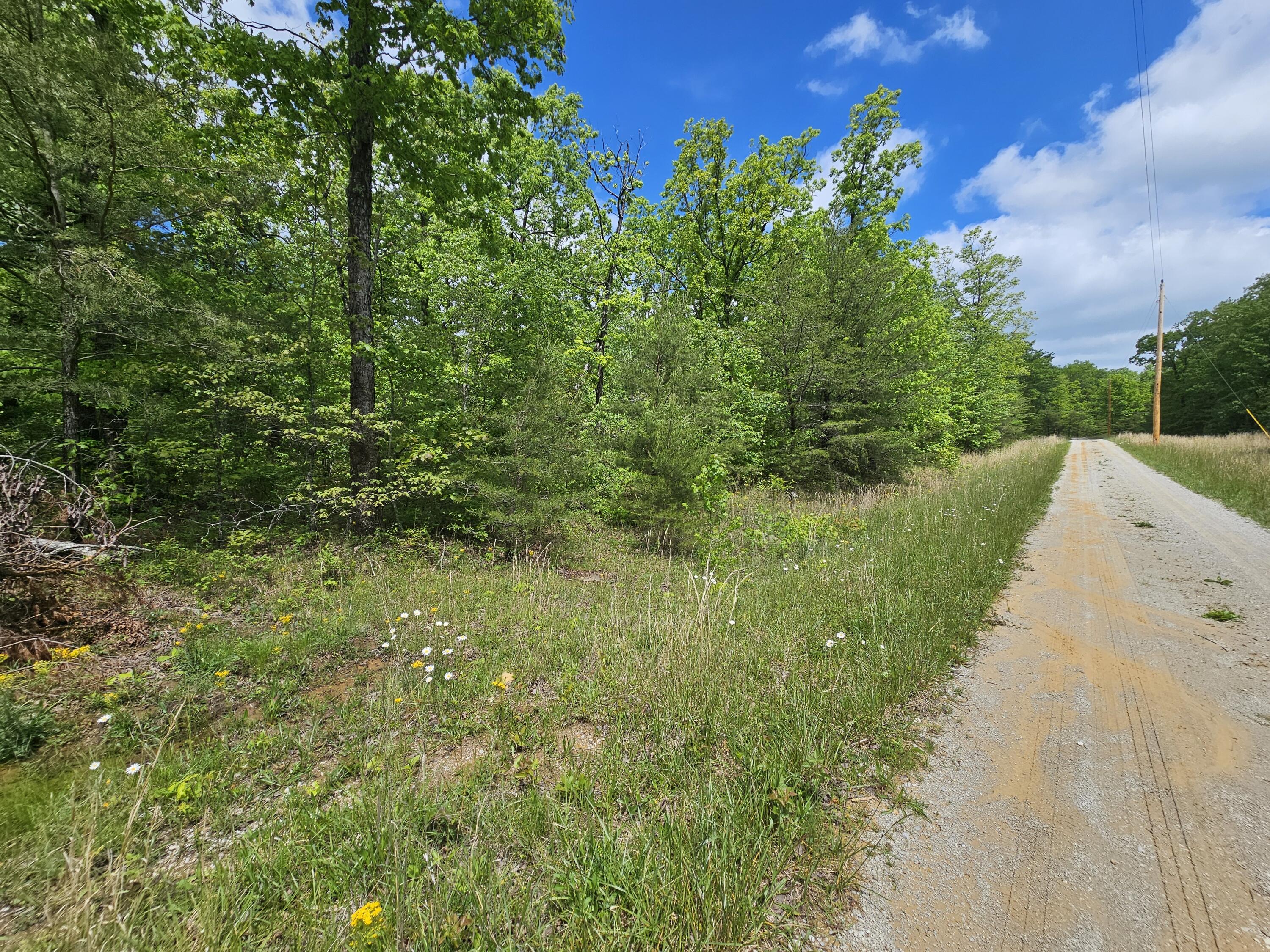 488 Hunters Trail Way, Unit 102 Altamont, TN 37301 - Photo 8 of 38 1000023472