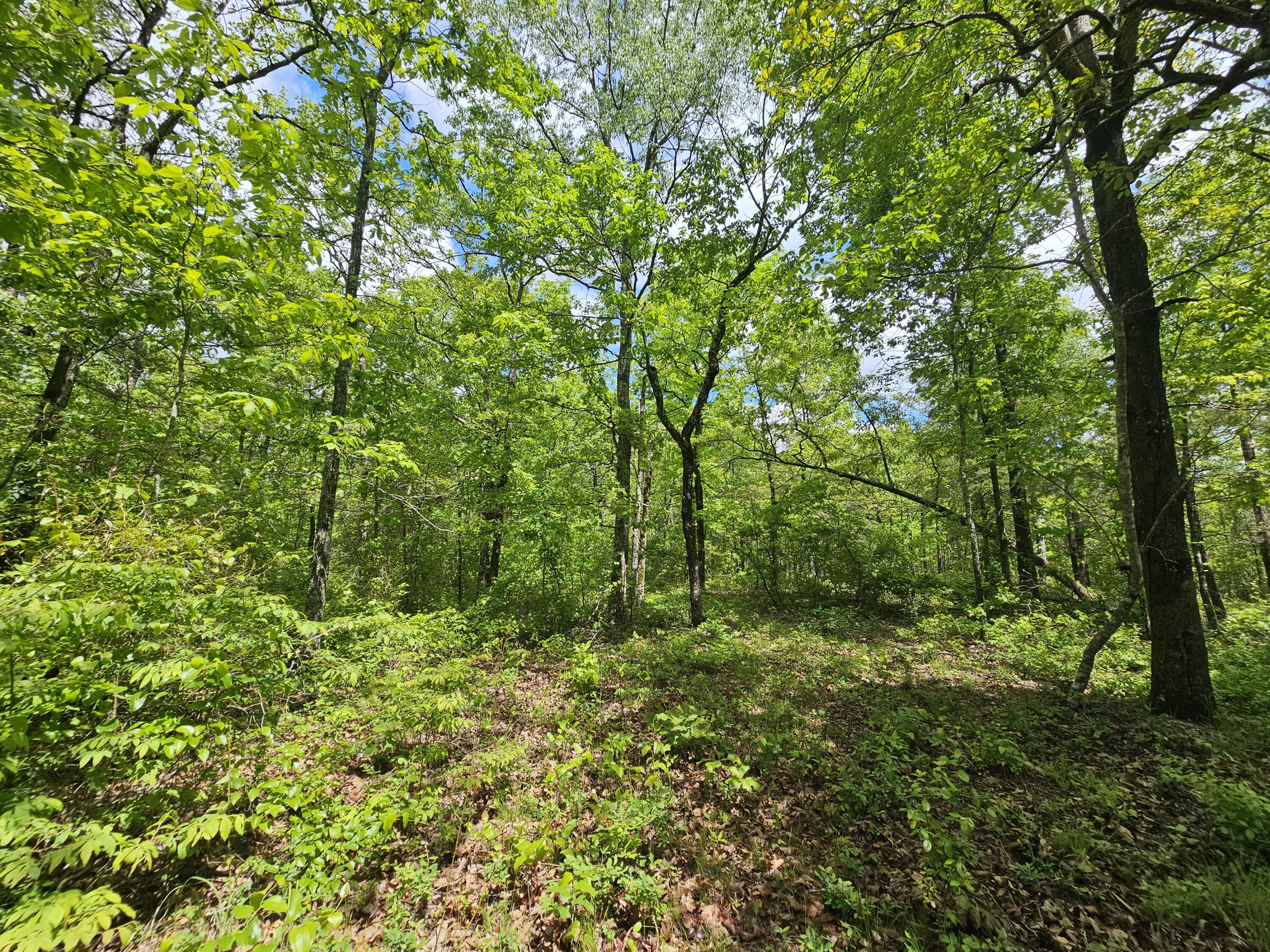 488 Hunters Trail Way, Unit 102 Altamont, TN 37301 - Photo 9 of 38 1000023470
