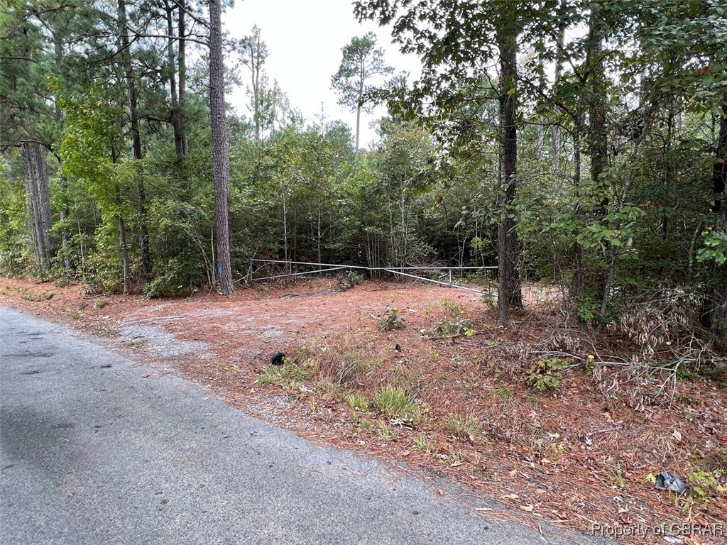 Tbd Glebe Landing Road Laneview, VA 22504 - Photo 2 of 2