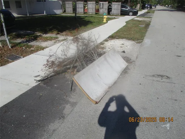 a view of a patio with table and chairs potted plants and palm tree