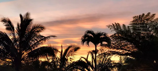 $3,200,000 | 4750 Uha Road, Unit 5, Kalaheo, HI 96741