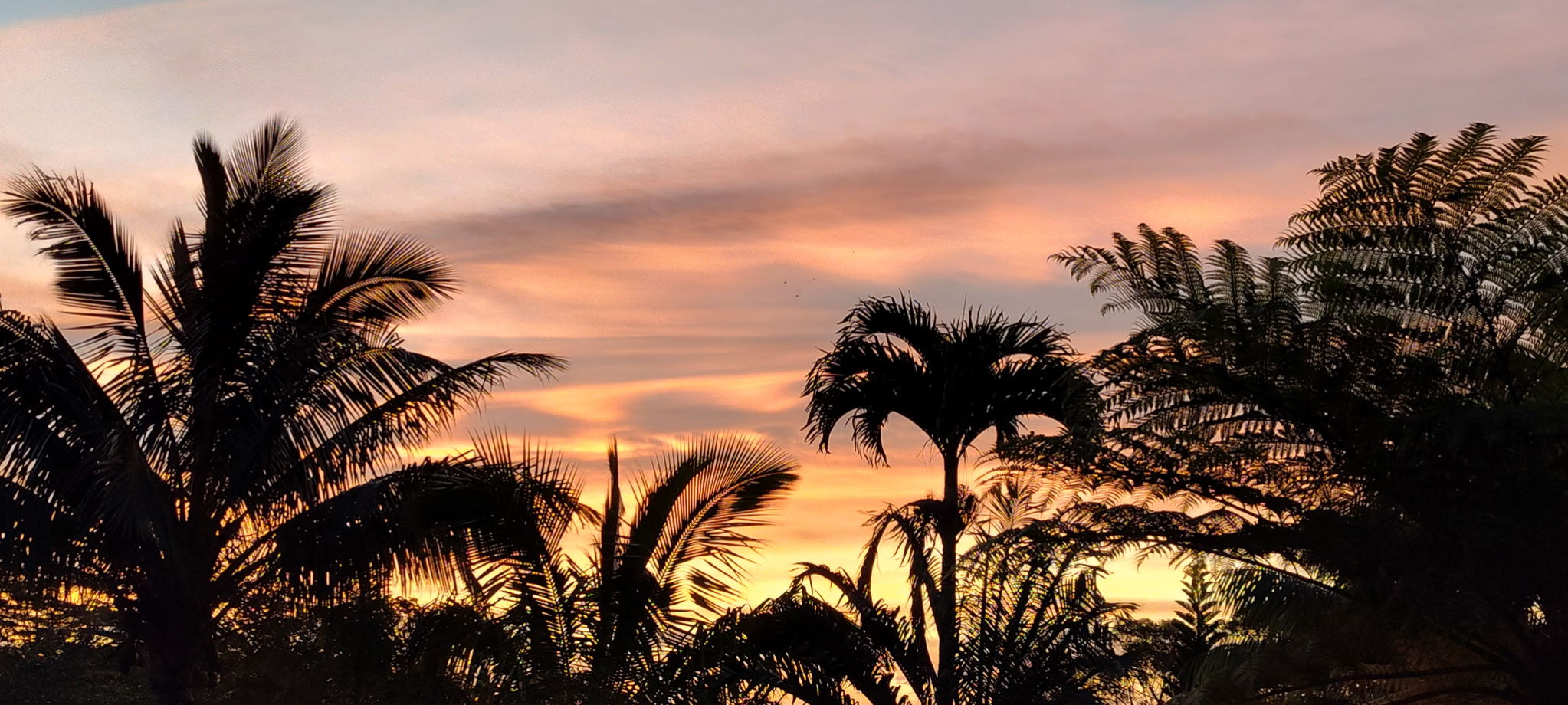 4750 Uha Road, Unit 5 Kalaheo, HI 96741 - Photo 28 of 30