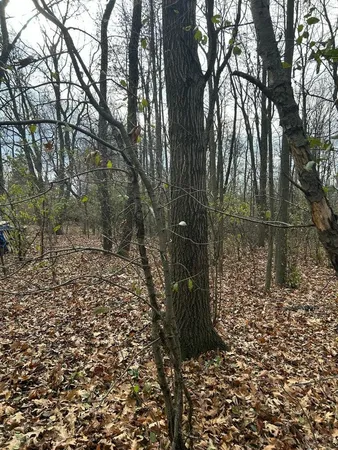 $64,999 | W863 County Road B, Osceola, WI 53010