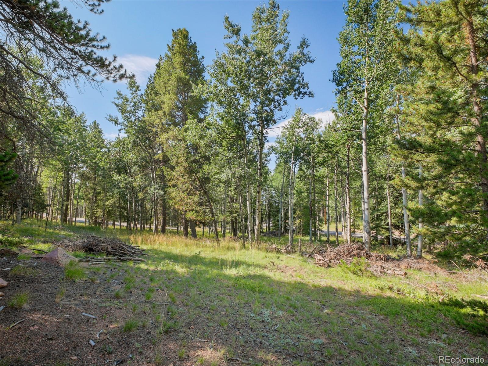 10852 Conifer Mountain Road Conifer, CO 80433 - Photo 31 of 47