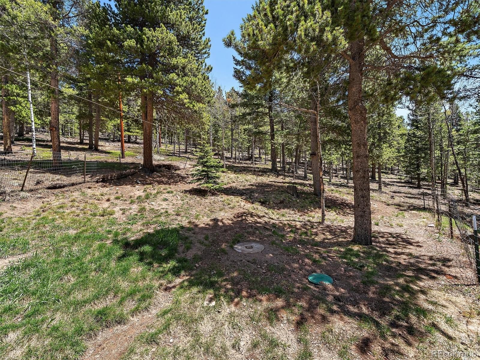 10852 Conifer Mountain Road Conifer, CO 80433 - Photo 33 of 47