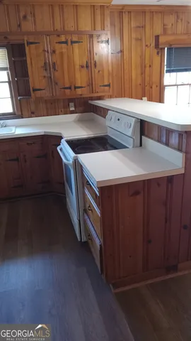 a kitchen with a sink a stove and cabinets