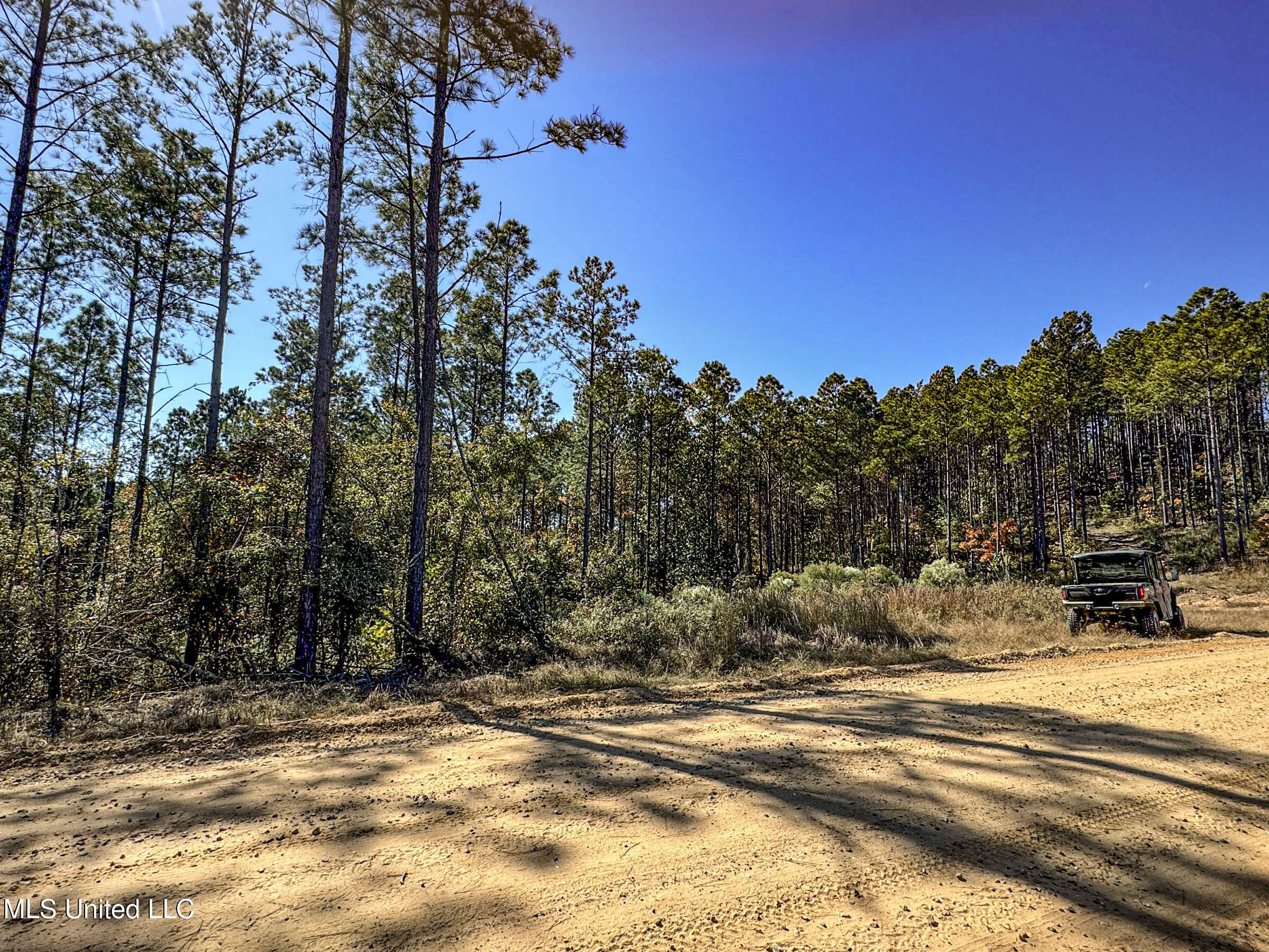 551 Country Road Coffeeville, MS 38922 - Photo 40 of 60 2dh15tc29