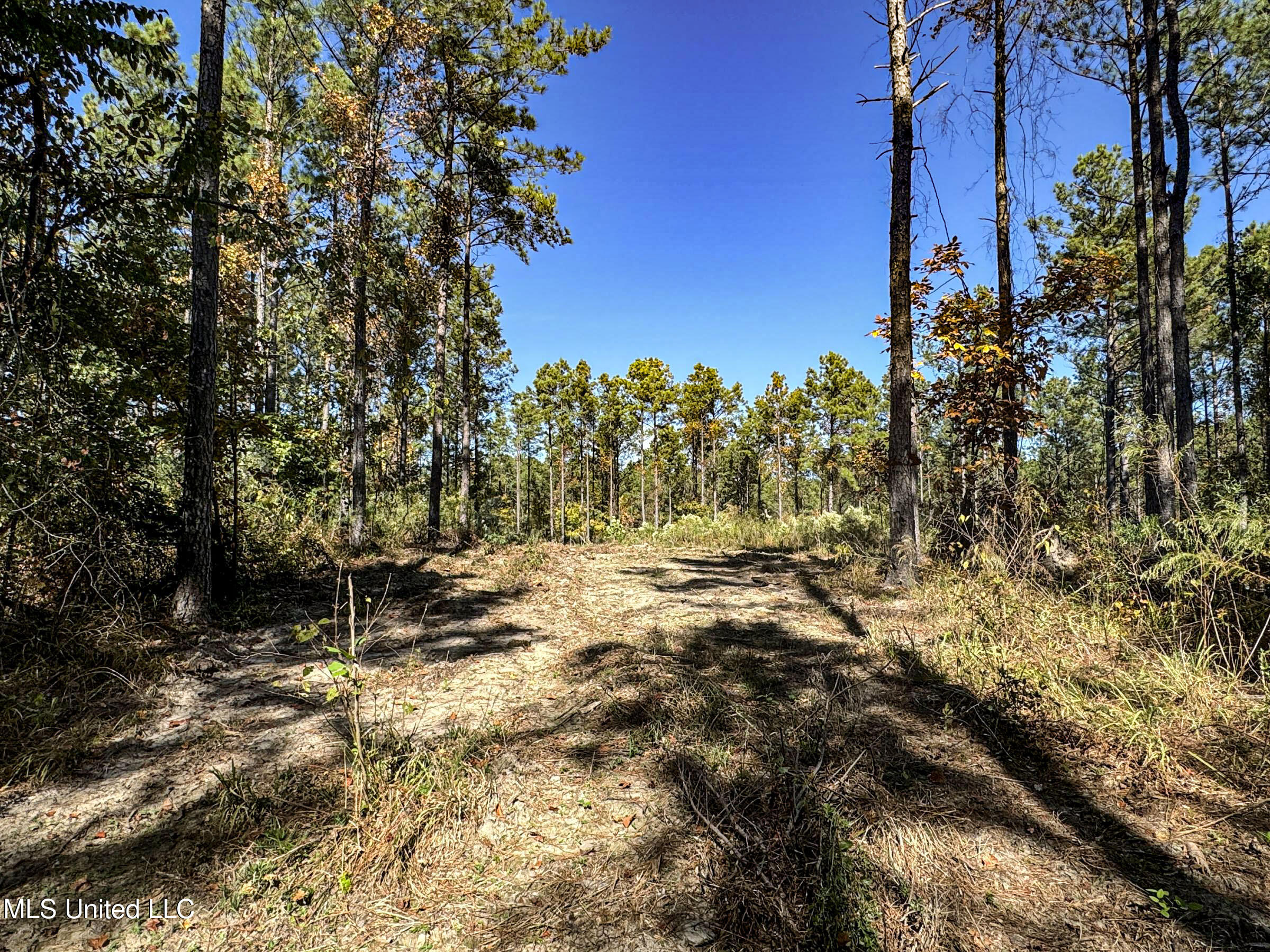 551 Country Road Coffeeville, MS 38922 - Photo 56 of 60 2dh15tc44c