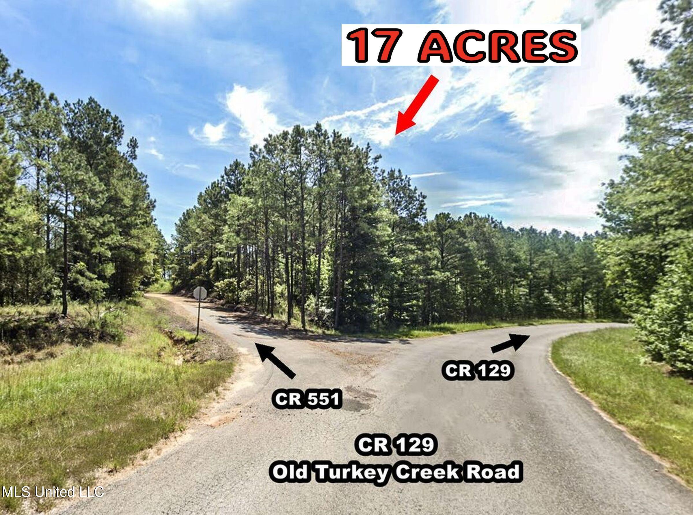 551 Country Road Coffeeville, MS 38922 - Photo 8 of 60 2dh15tc1-4_orig