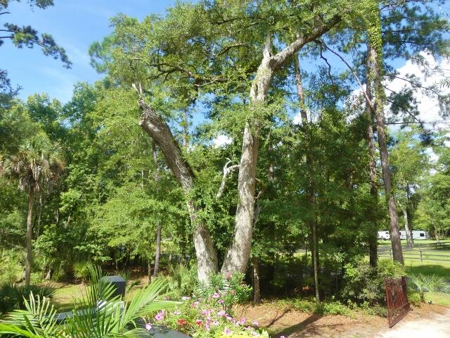 8287 Palmetto Road Edisto Island, SC 29438 - Photo 5 of 100 3