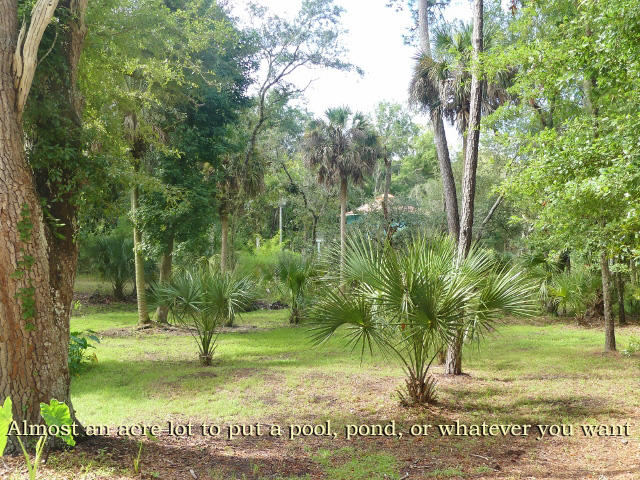 8287 Palmetto Road Edisto Island, SC 29438 - Photo 7 of 100 66a copy