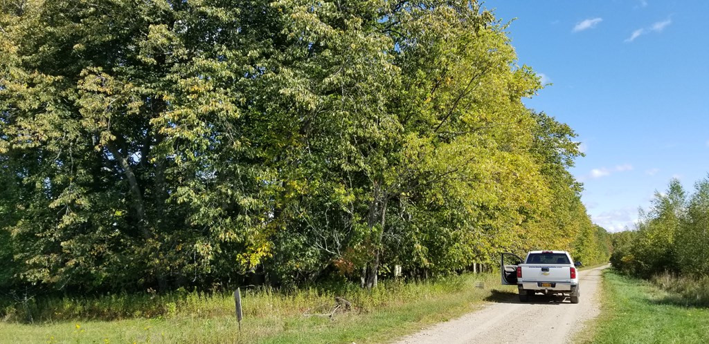 . Shee Woods Road Chateaugay, NY 12920 - Photo 7 of 14