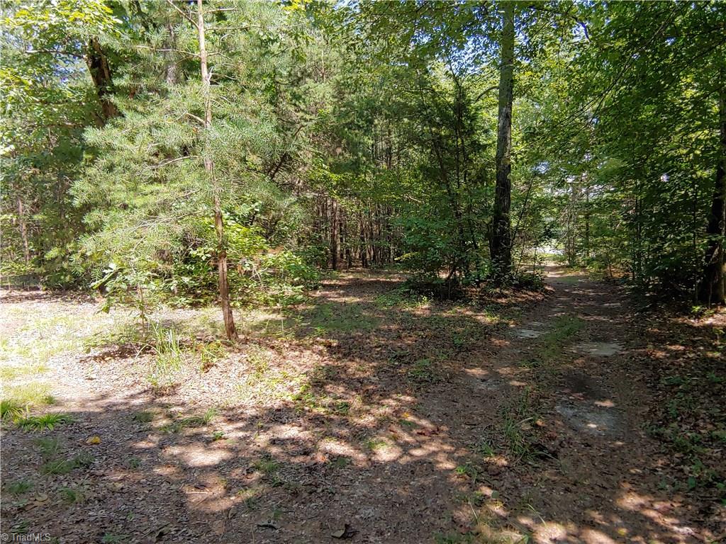 120 Haynes Road Summerfield, NC 27358 - Photo 19 of 21 Gallery Image 19