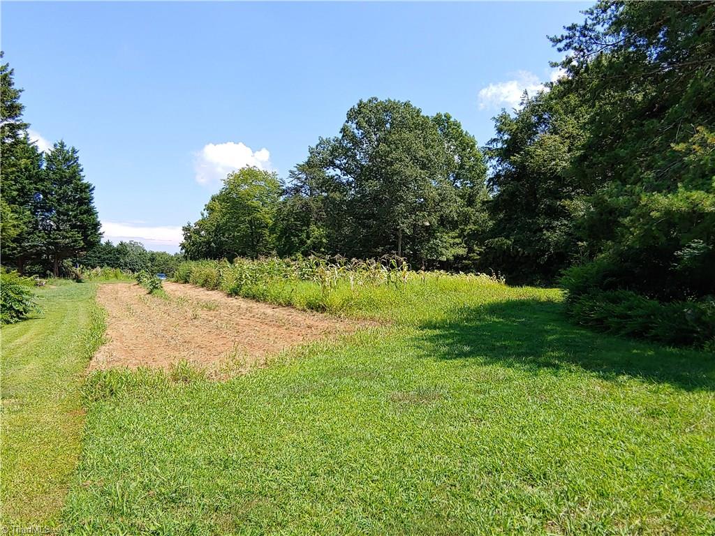 120 Haynes Road Summerfield, NC 27358 - Photo 8 of 21 Gallery Image 8