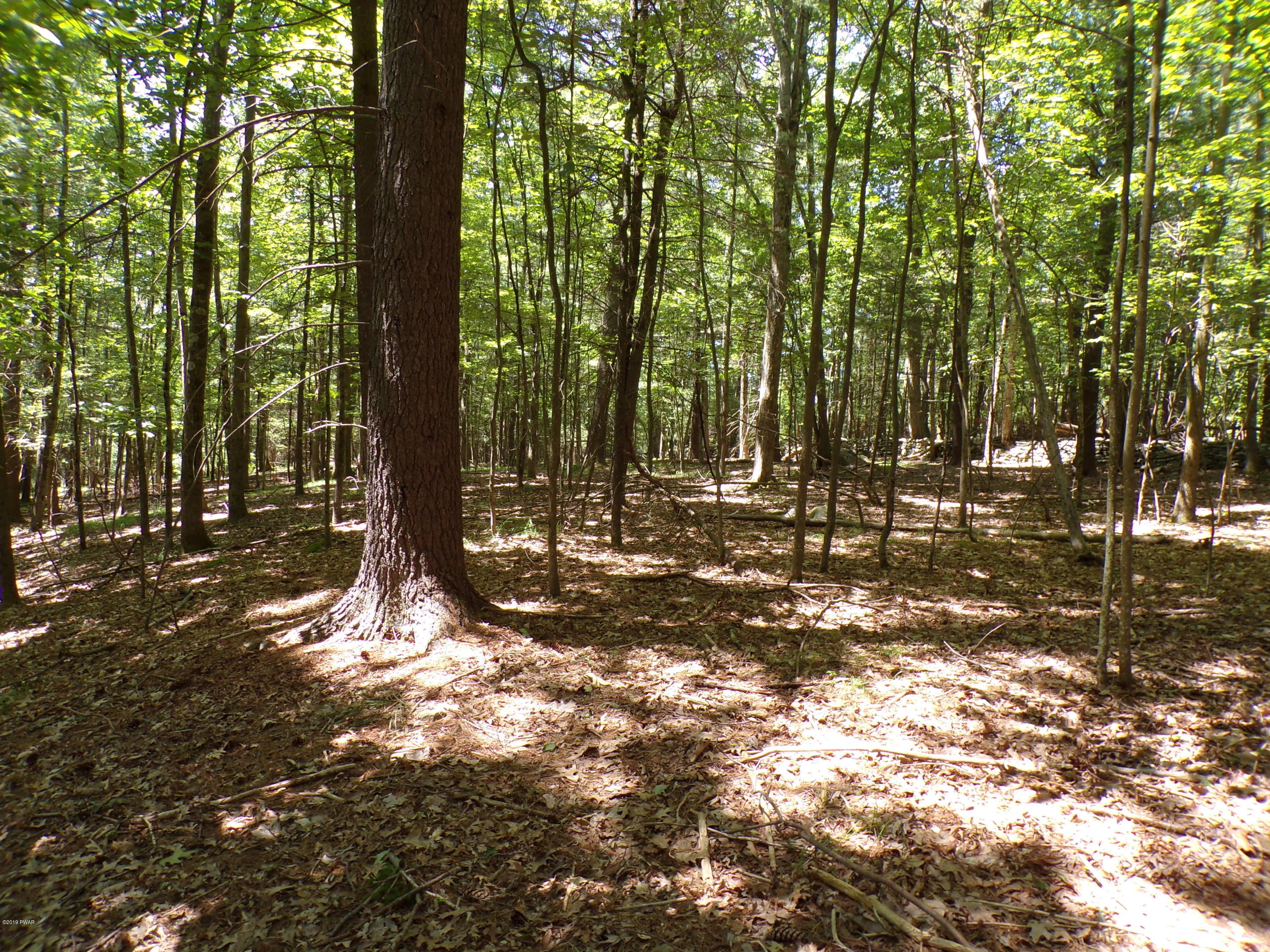 3 Spruce Street Lake Ariel, PA 18436 - Photo 8 of 9