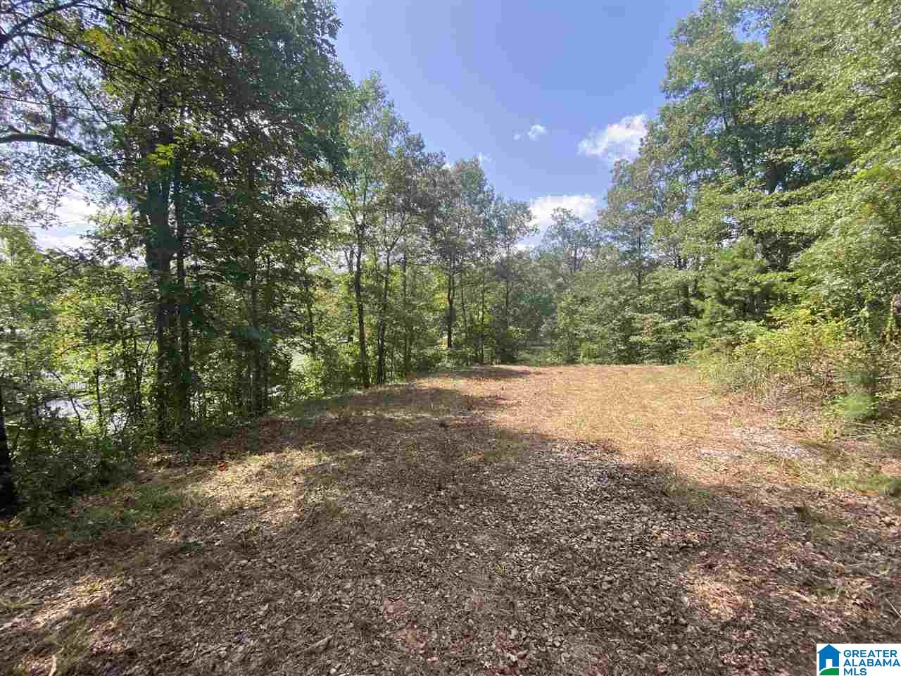 Pam Street, Unit 1 Wedowee, AL 36278 - Photo 8 of 9