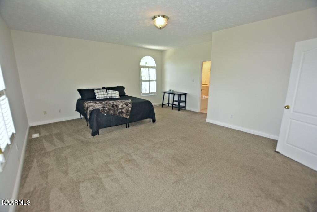 7719 Blueberry Road Powell, TN 37849 - Photo 14 of 40 Full Master Bedroom View