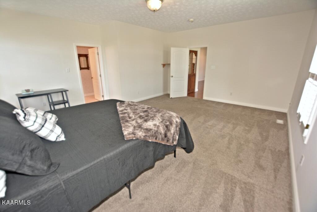 7719 Blueberry Road Powell, TN 37849 - Photo 15 of 40 Master Bedroom View Facing From Back