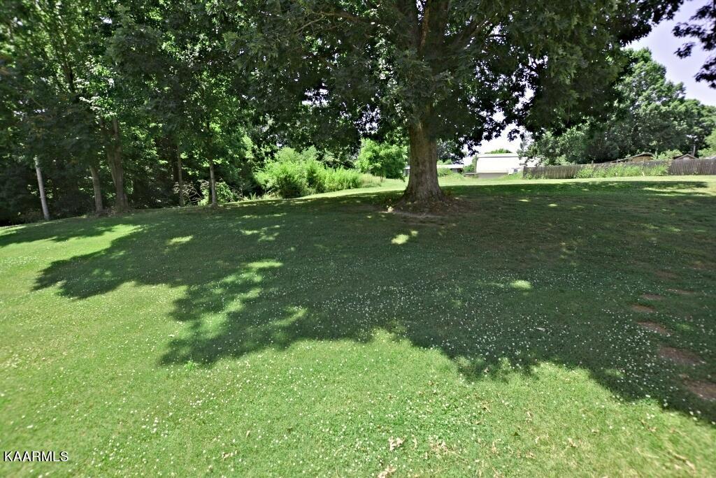 7719 Blueberry Road Powell, TN 37849 - Photo 26 of 40 Backyard Tree View