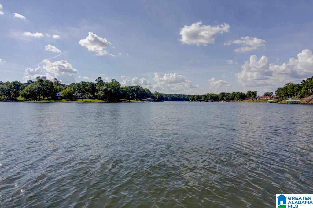 289 Pleasure Point Wedowee, AL 36278 - Photo 24 of 28