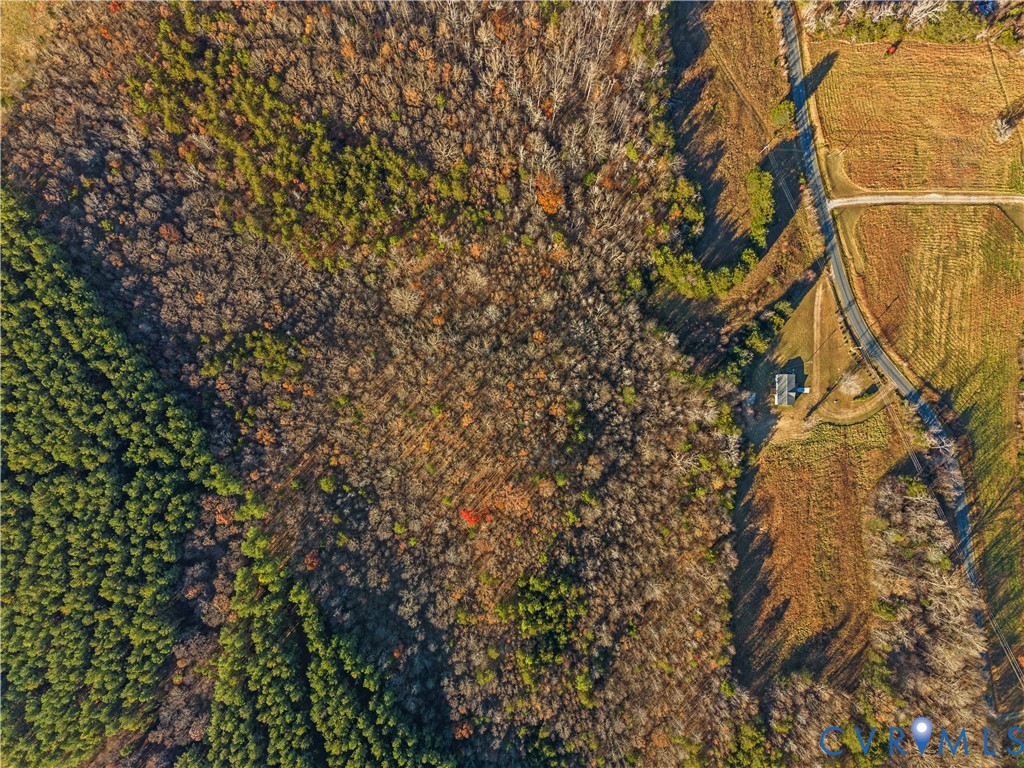 4621 Meherrin Road Meherrin, VA 23954 - Photo 45 of 49 a picture of a tree