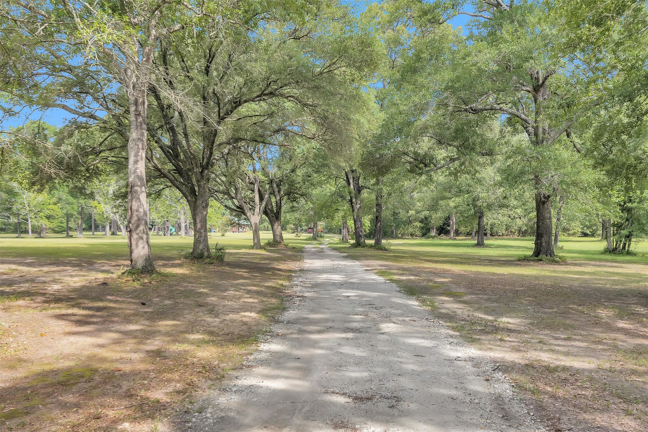 1356 Pegoda Ranch Road Groveton, TX 75845 - Photo 35 of 44 a view of a field with trees