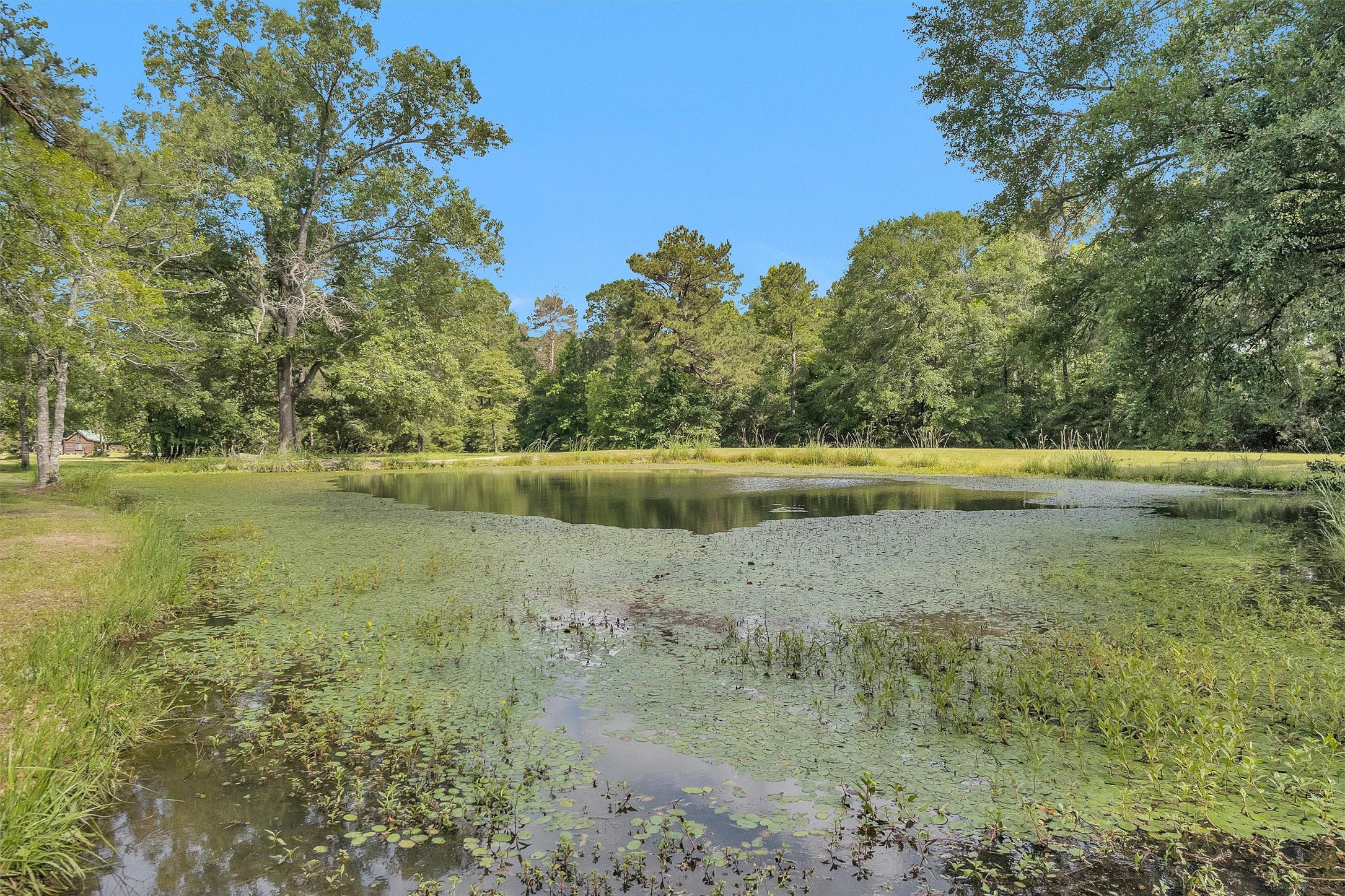 1356 Pegoda Ranch Road Groveton, TX 75845 - Photo 36 of 44 a view of outdoor space and yard