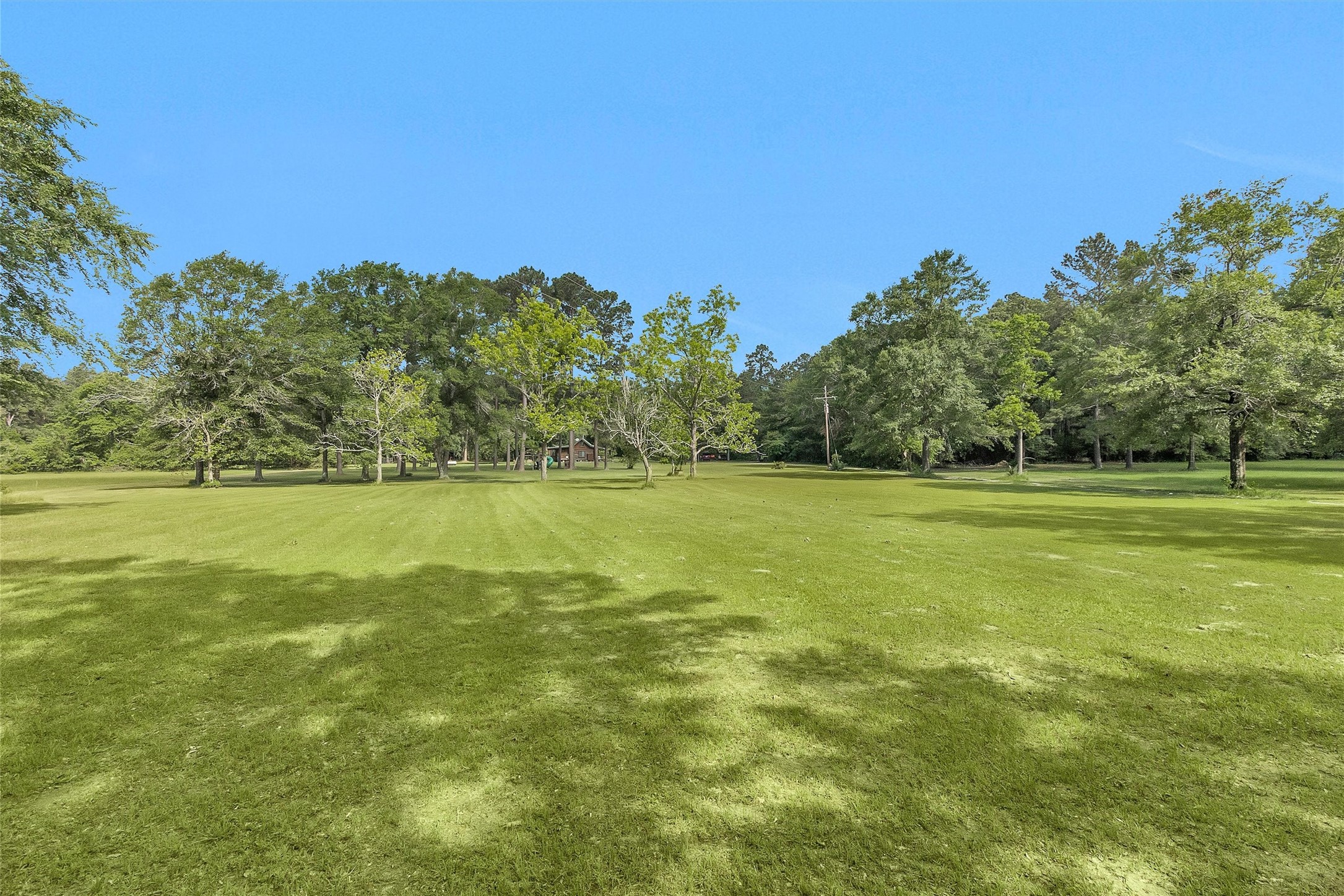 1356 Pegoda Ranch Road Groveton, TX 75845 - Photo 38 of 44 a view of a green field with clear sky