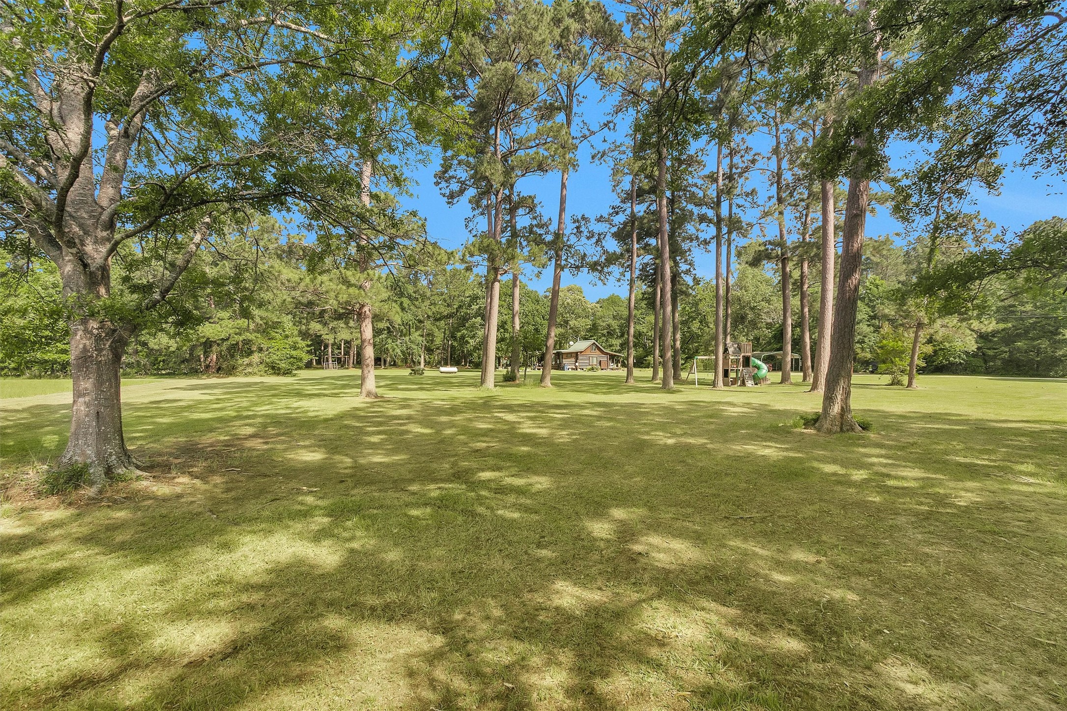 1356 Pegoda Ranch Road Groveton, TX 75845 - Photo 4 of 44 a view of yard with trees