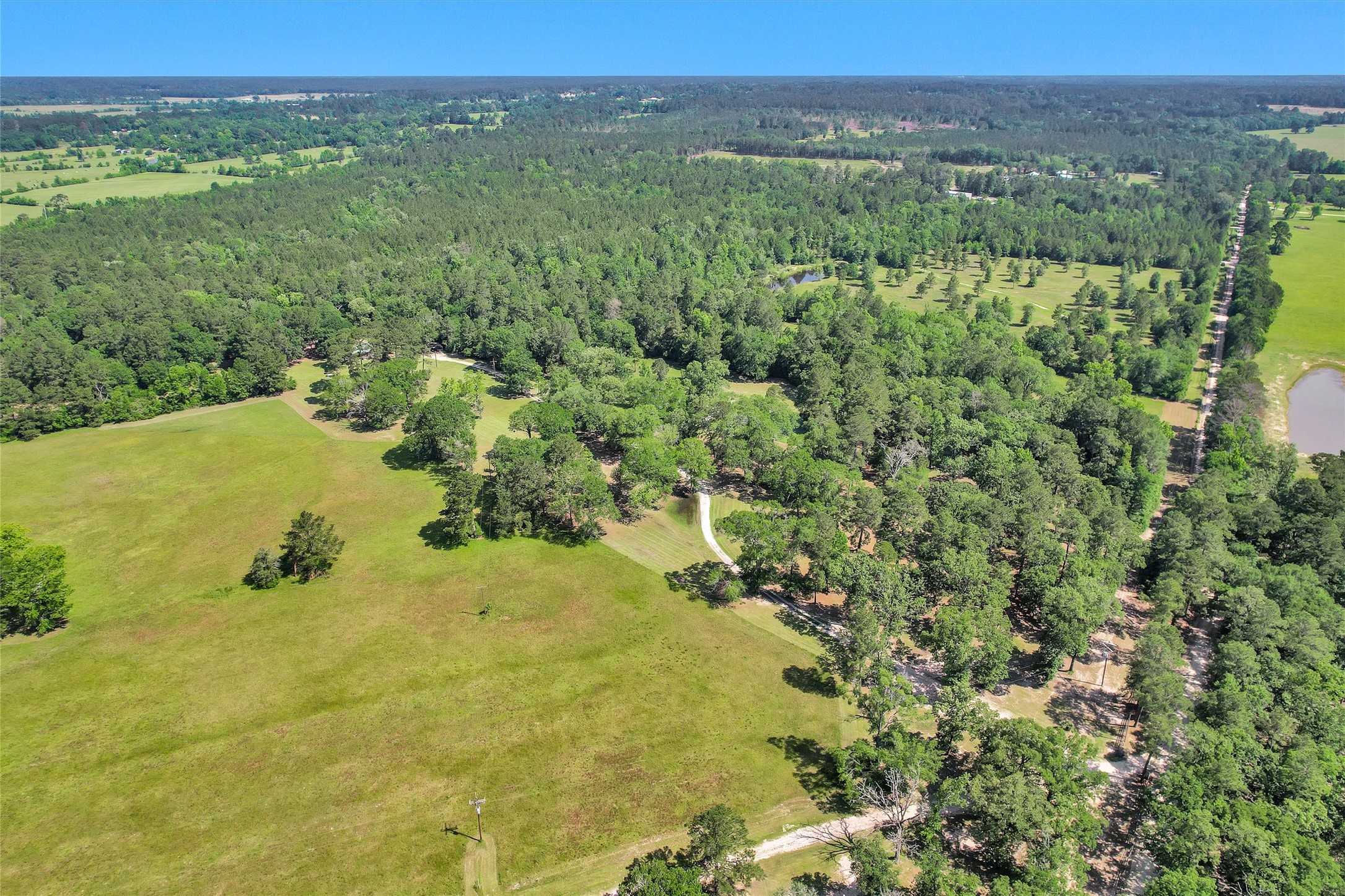 1356 Pegoda Ranch Road Groveton, TX 75845 - Photo 41 of 44 a view of a houses with a lush green hillside