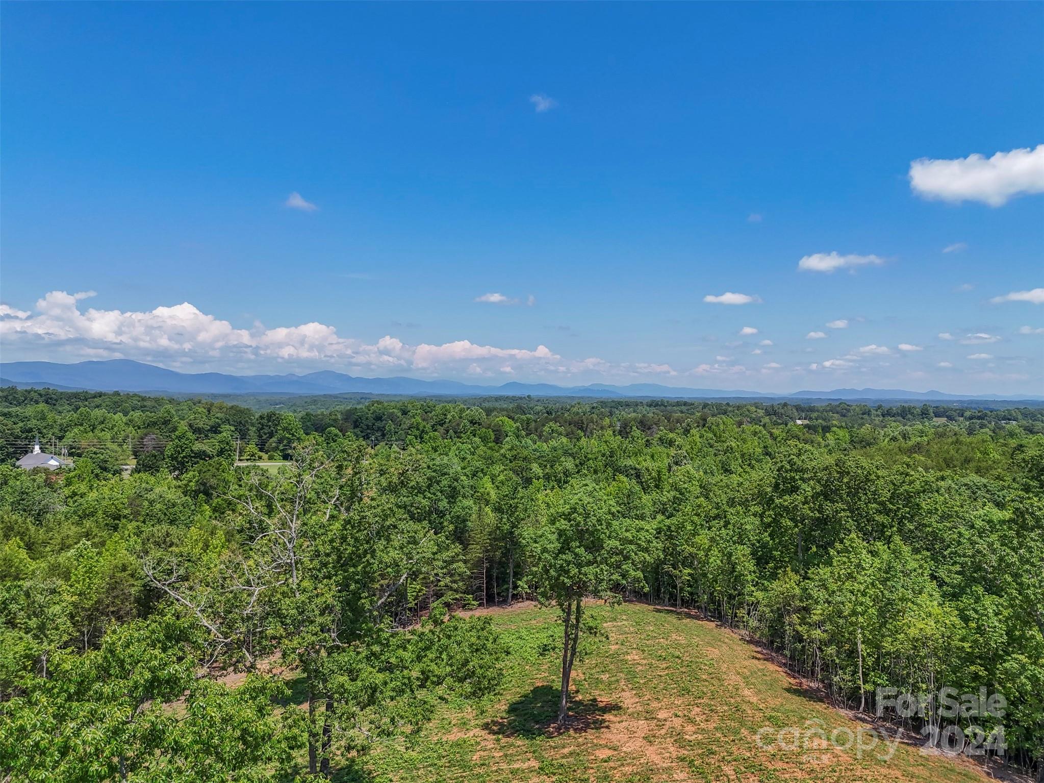 0 Prospect Point Drive Tryon, NC 28782 - Photo 11 of 27 a view of a back yard