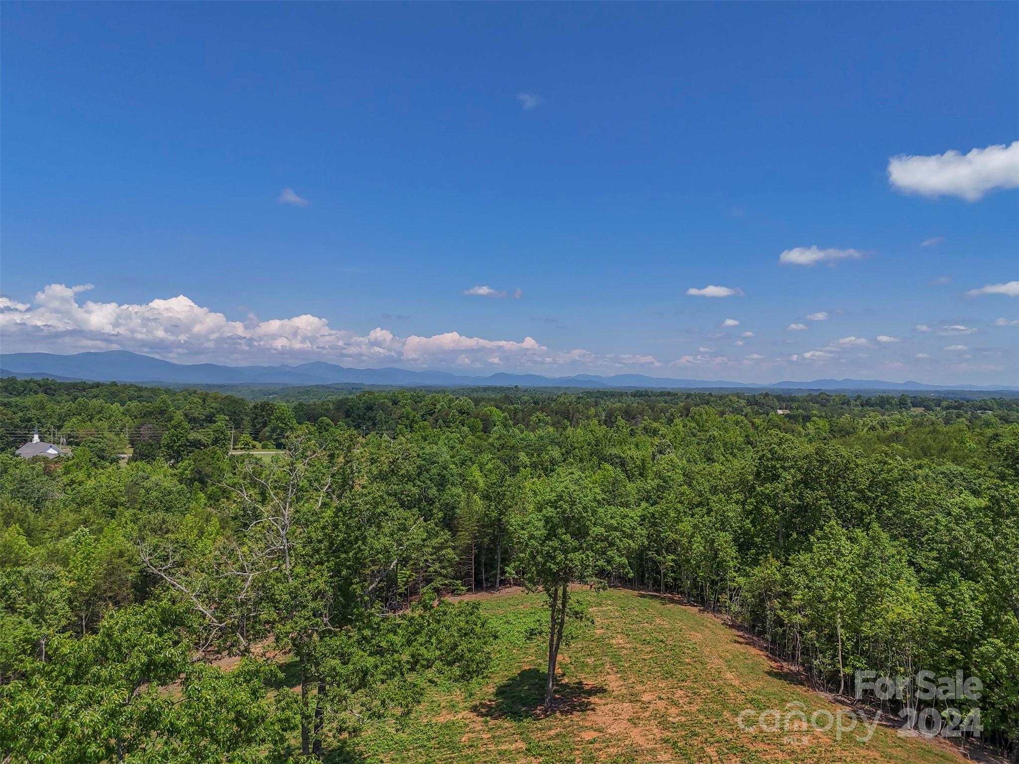 0 Prospect Point Drive Tryon, NC 28782 - Photo 12 of 27 a view of a back yard
