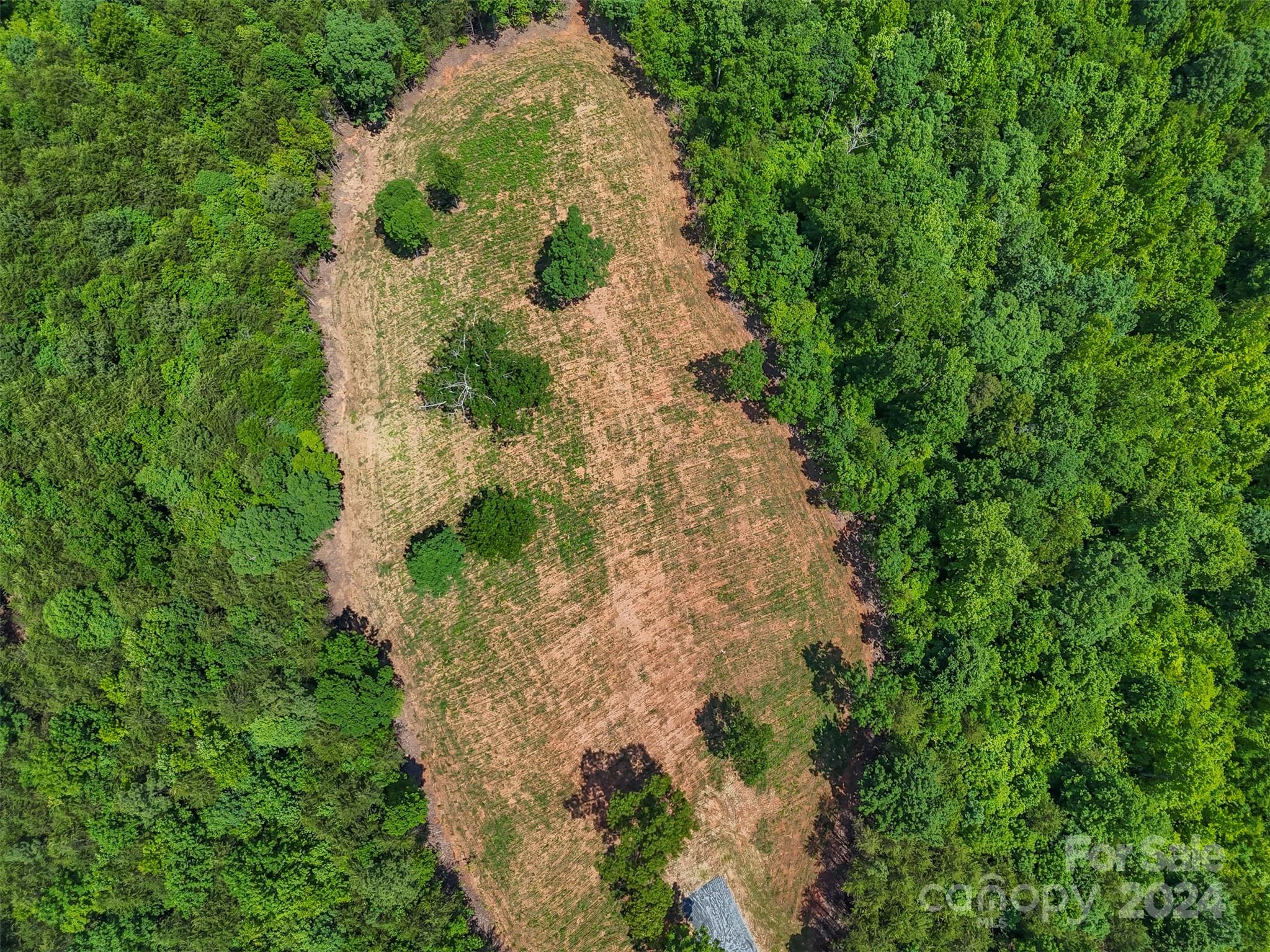 0 Prospect Point Drive Tryon, NC 28782 - Photo 13 of 27 a plant that is in a garden