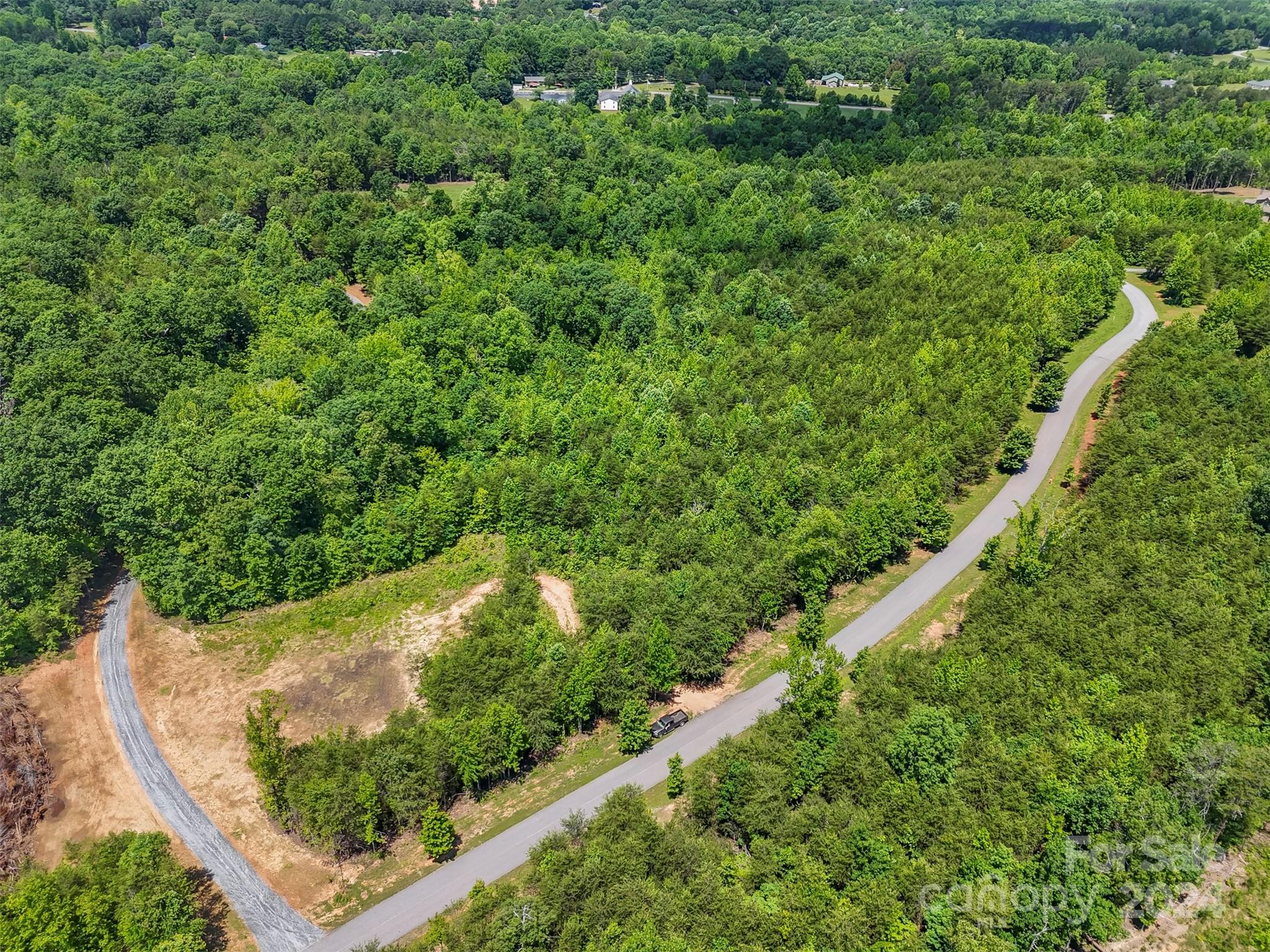 0 Prospect Point Drive Tryon, NC 28782 - Photo 17 of 27 a view of a garden with a pathway