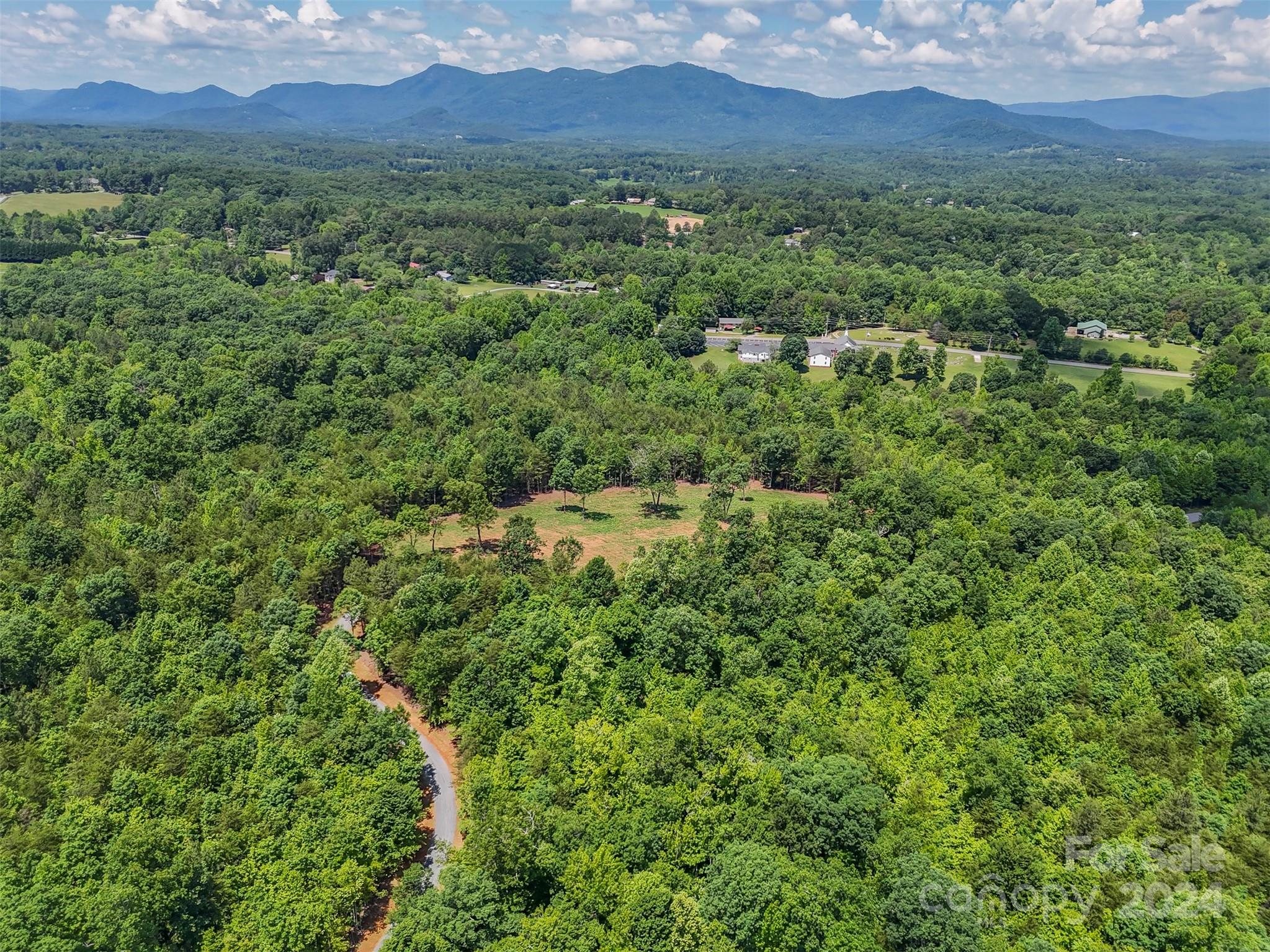 0 Prospect Point Drive Tryon, NC 28782 - Photo 19 of 27 a view of a lush green forest with trees and some houses
