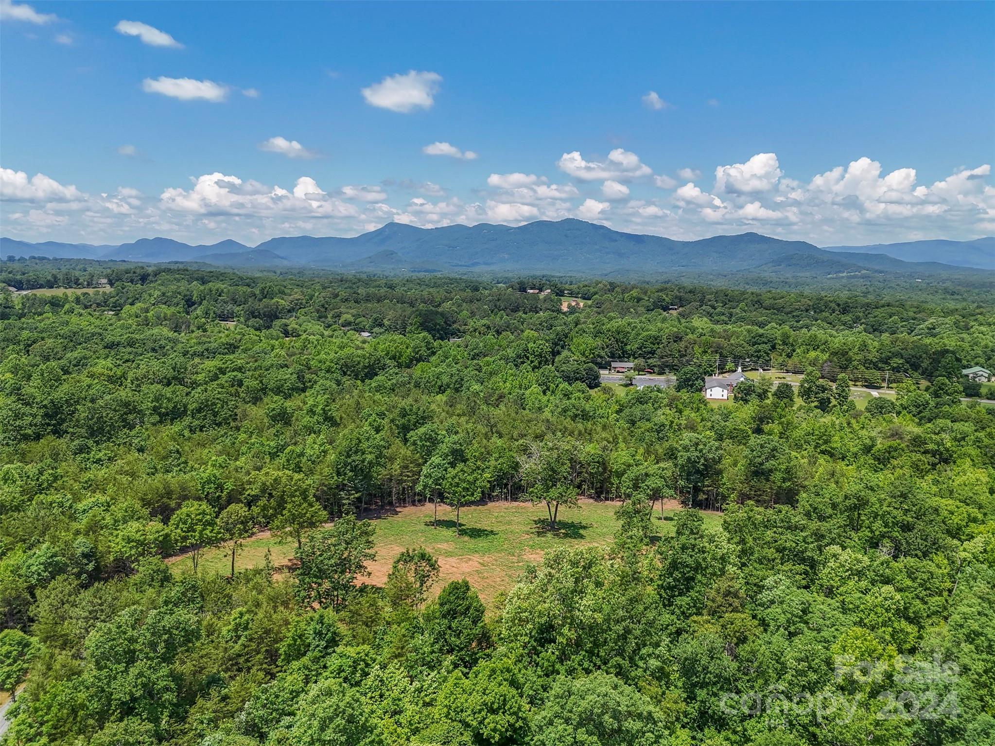 0 Prospect Point Drive Tryon, NC 28782 - Photo 20 of 27 a view of a bunch of trees in a field
