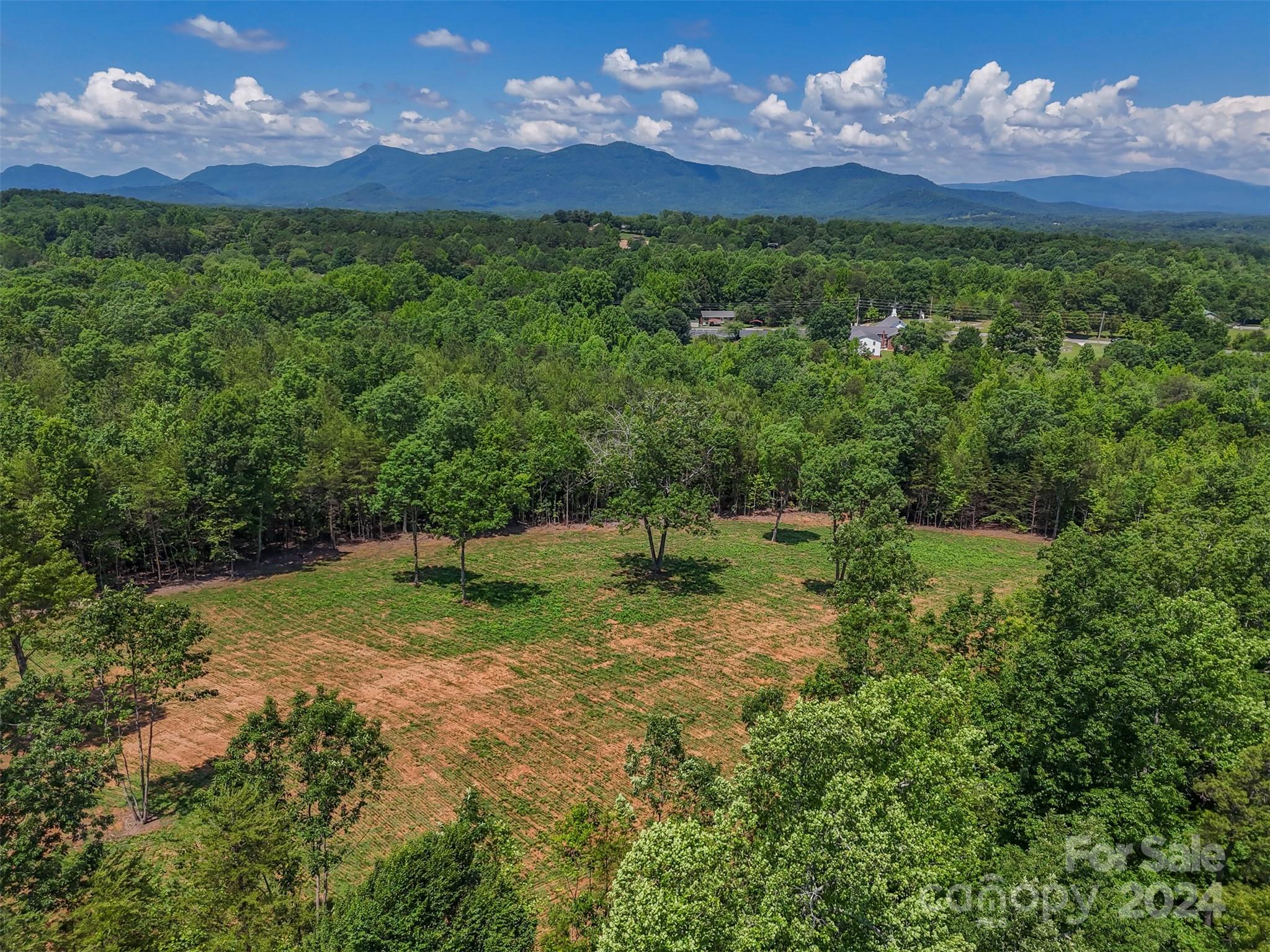 0 Prospect Point Drive Tryon, NC 28782 - Photo 2 of 27 a view of a big yard with lots of green space and mountain view