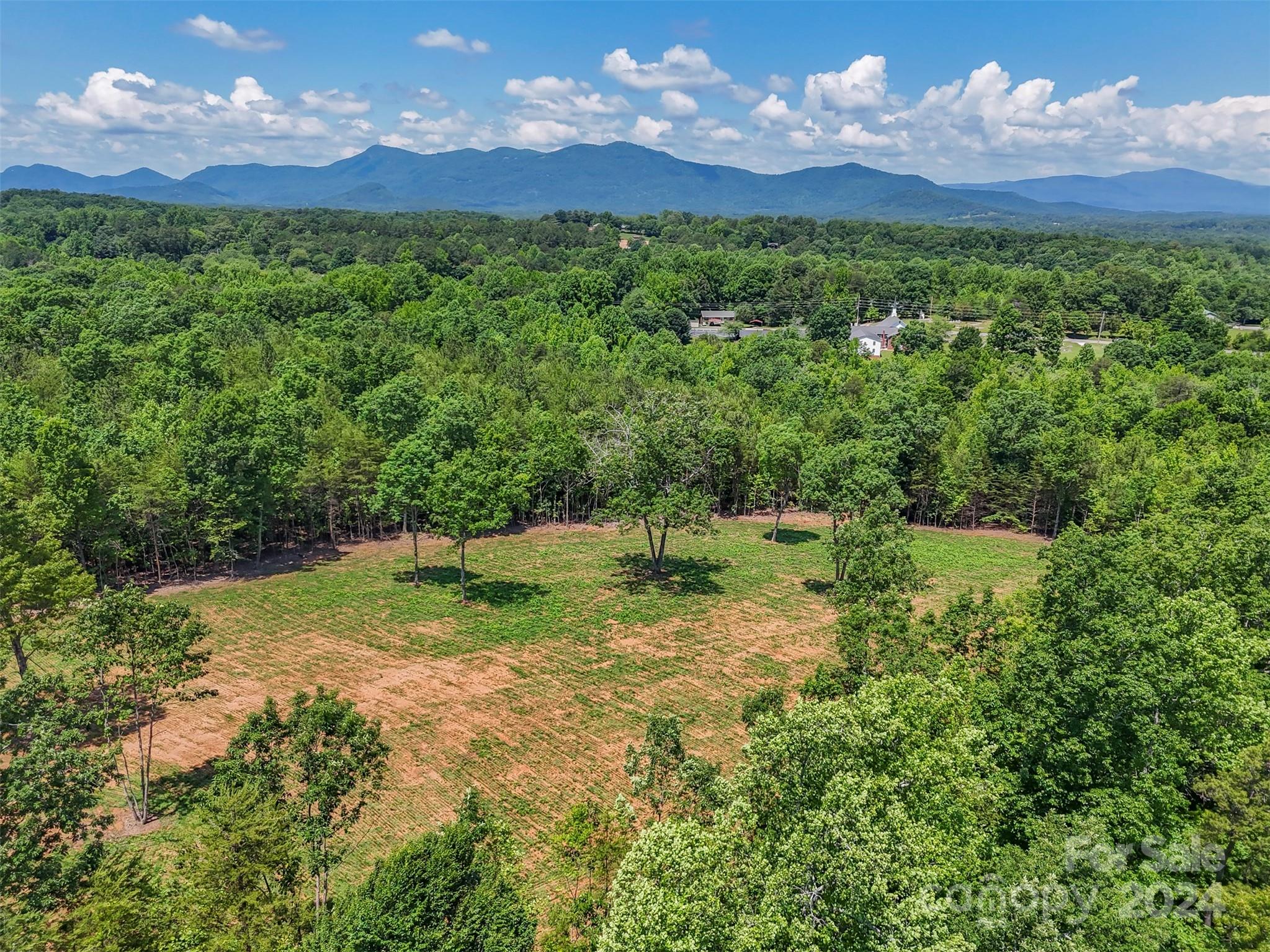 0 Prospect Point Drive Tryon, NC 28782 - Photo 22 of 27 a view of a grassy field with an trees