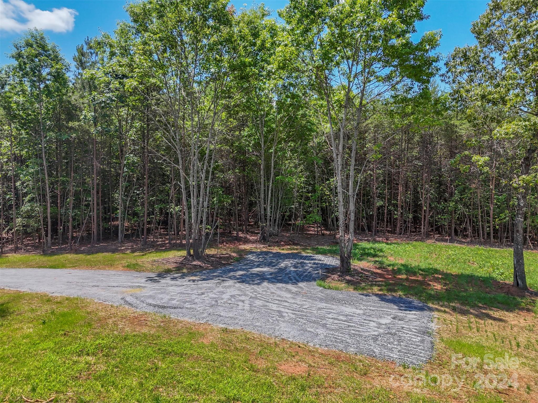 0 Prospect Point Drive Tryon, NC 28782 - Photo 23 of 27 a view of a park with large trees