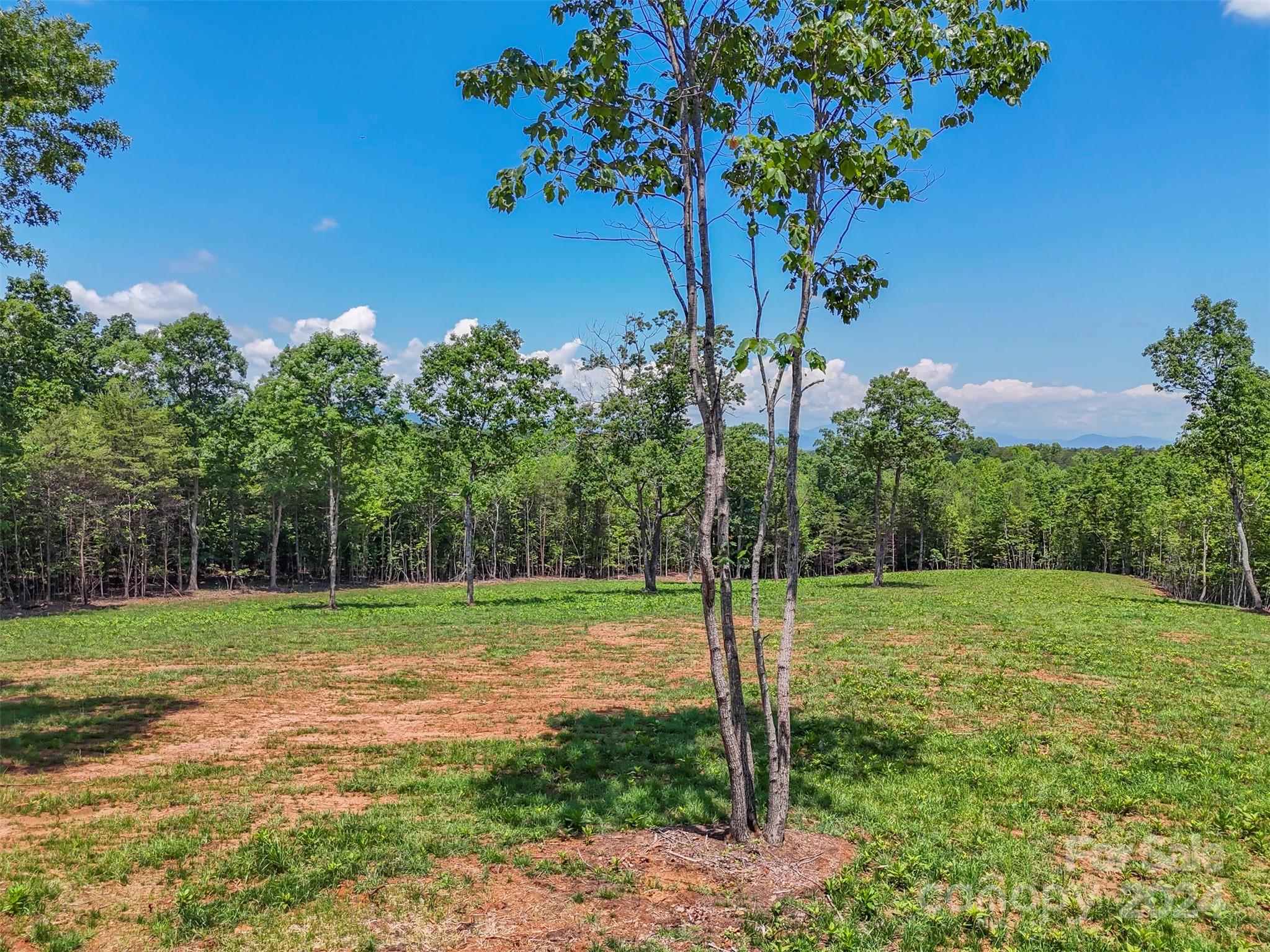 0 Prospect Point Drive Tryon, NC 28782 - Photo 24 of 27 a view of a trees with a big yard