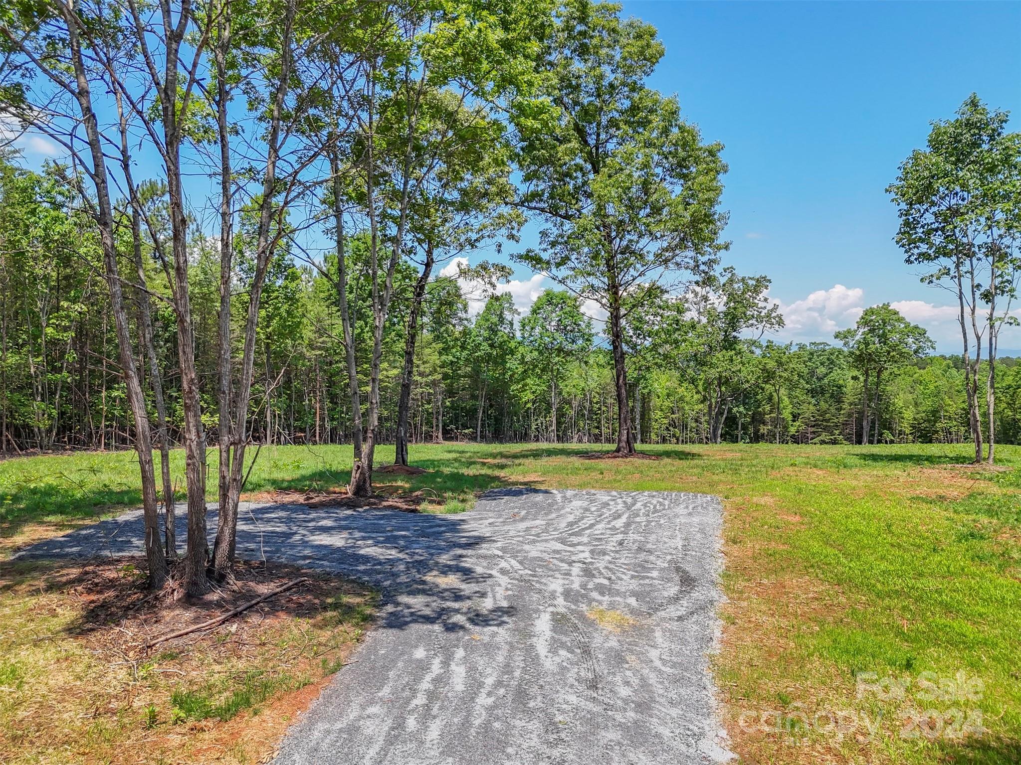 0 Prospect Point Drive Tryon, NC 28782 - Photo 25 of 27 a view of a backyard with green space