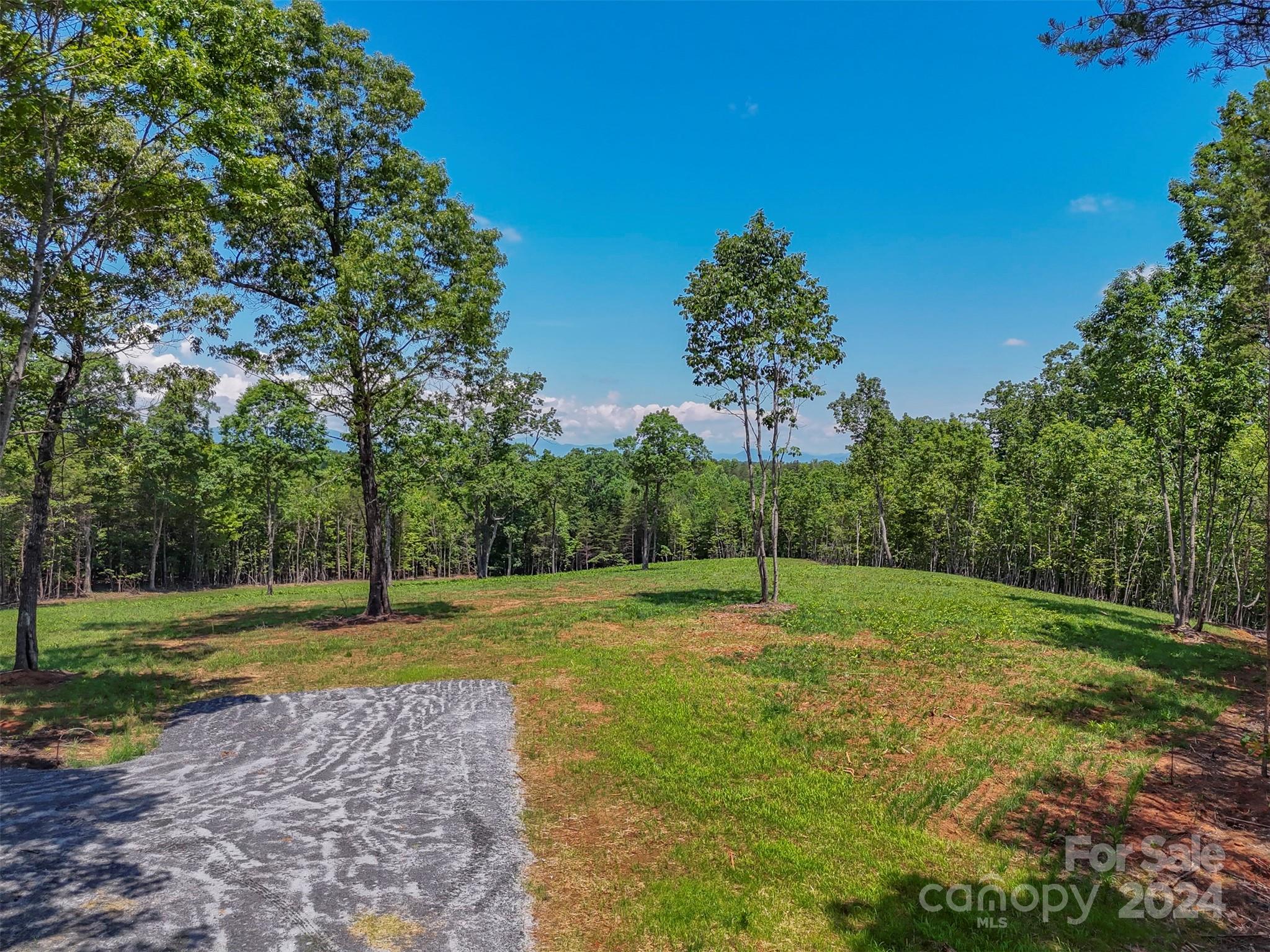 0 Prospect Point Drive Tryon, NC 28782 - Photo 26 of 27 a view of a park