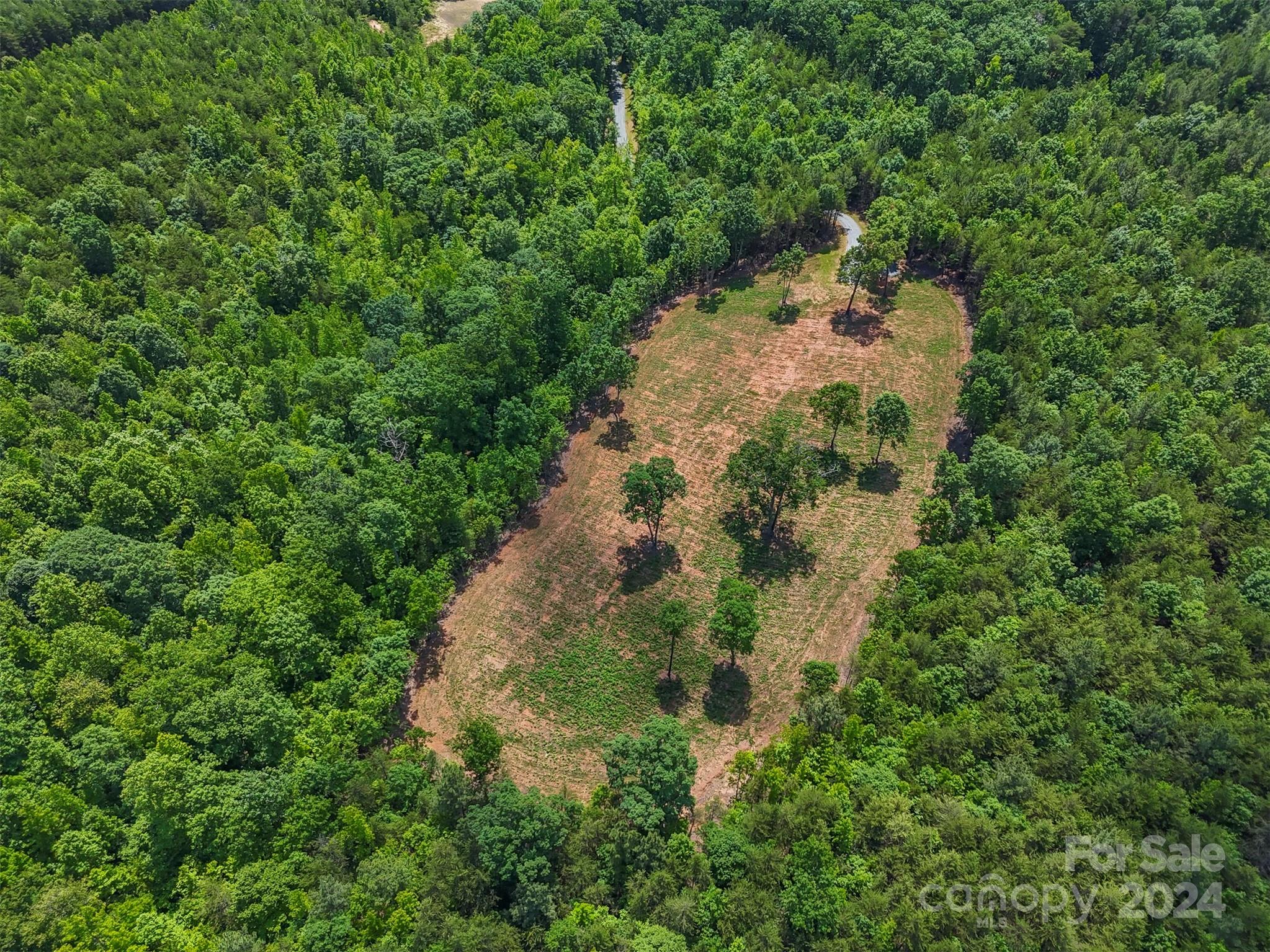 0 Prospect Point Drive Tryon, NC 28782 - Photo 3 of 27 a view of a garden with plants