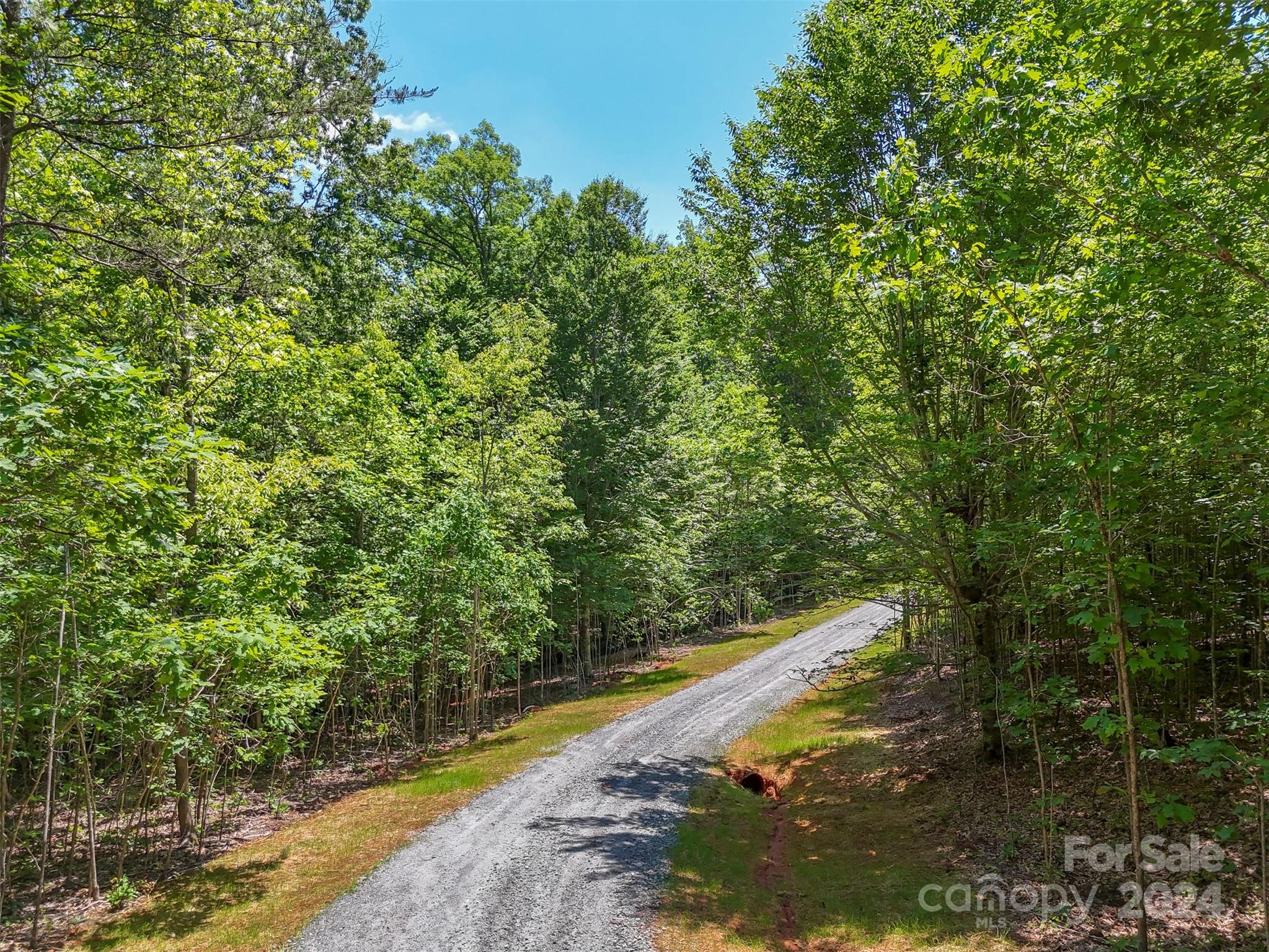 0 Prospect Point Drive Tryon, NC 28782 - Photo 5 of 27 a view of a yard with a small space