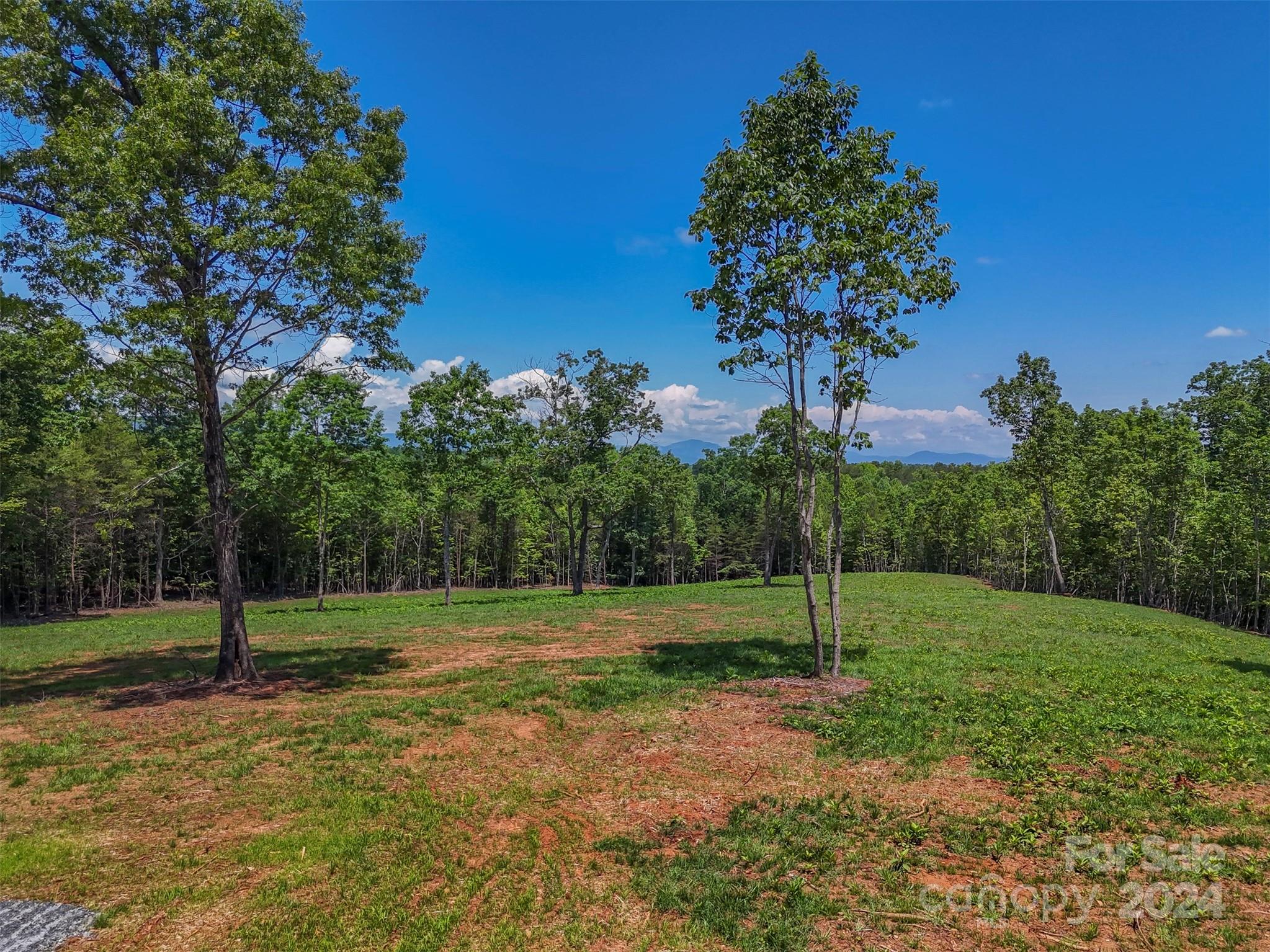 0 Prospect Point Drive Tryon, NC 28782 - Photo 6 of 27 a view of a park with a tree
